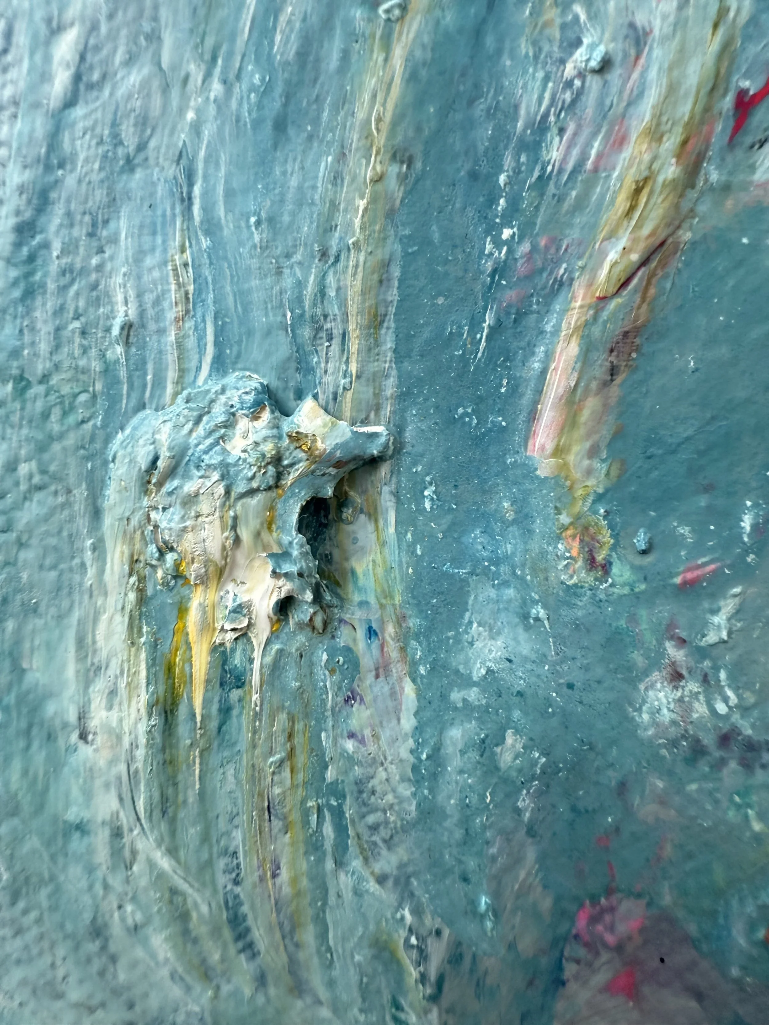 Josh_close up 12_ARTIST LIZ ALDERMAN_BIRD PAINTING.jpeg