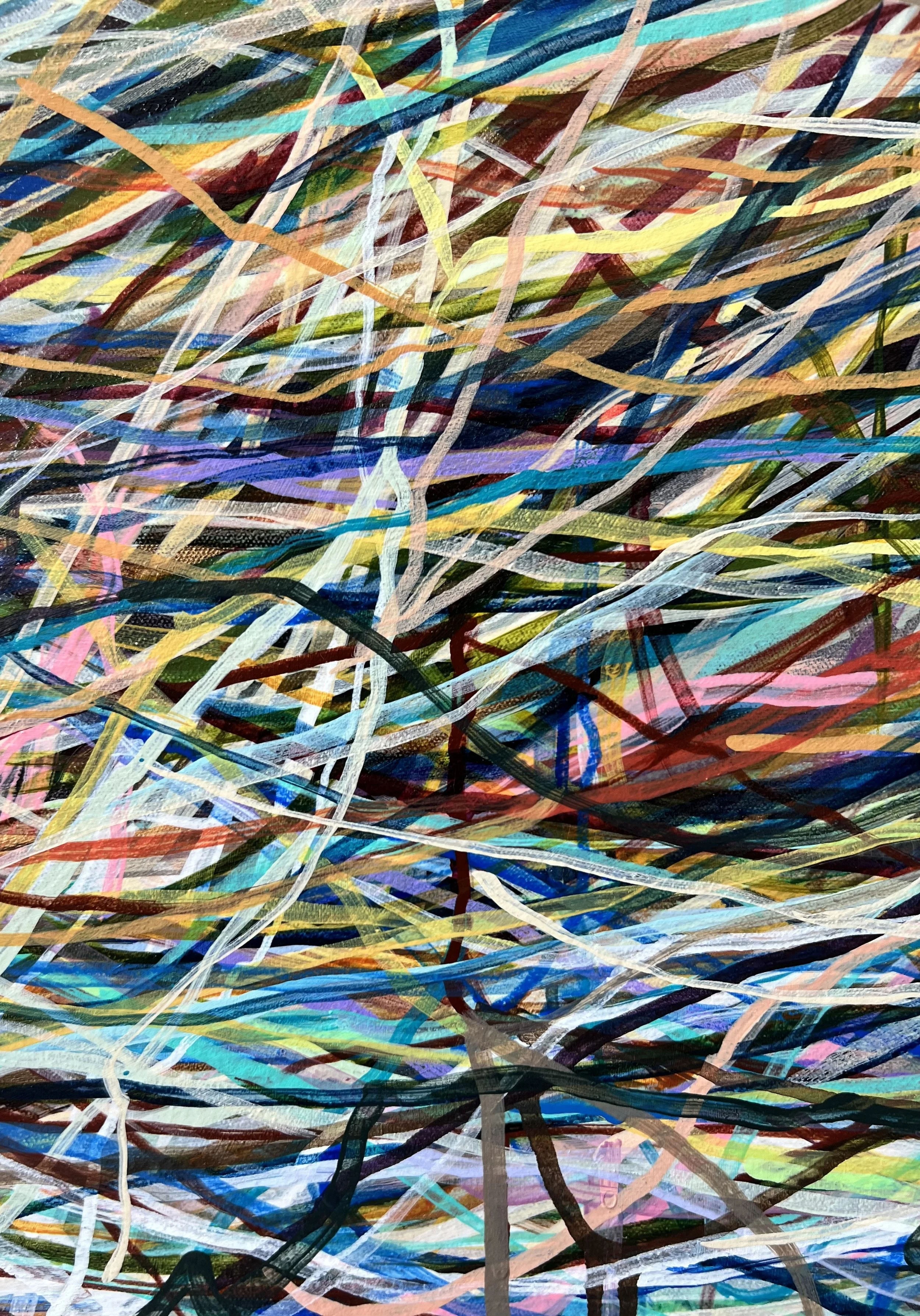 Zoomerang_detail 44_ARTIST LIZ ALDERMAN.jpeg