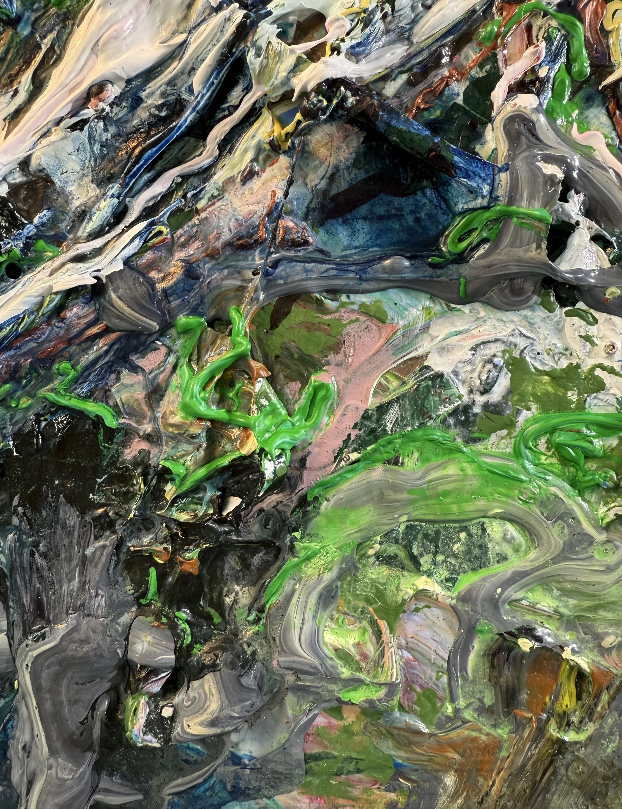 Fred_close up 18_ARTIST LIZ ALDERMAN.jpeg