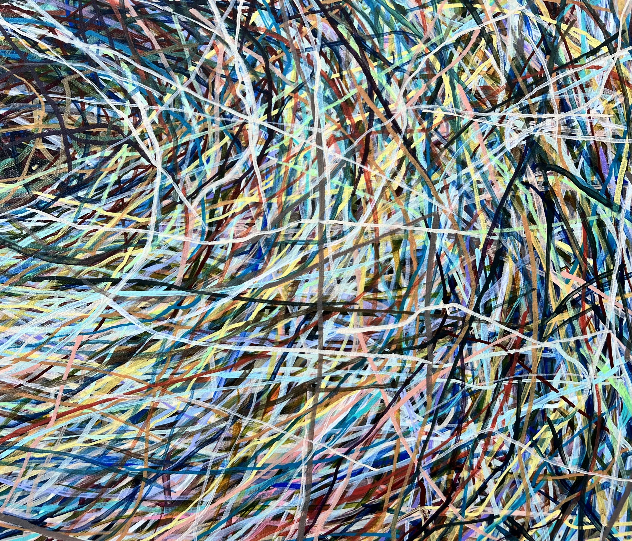 Zoomerang_detail 9_ARTIST LIZ ALDERMAN.jpeg