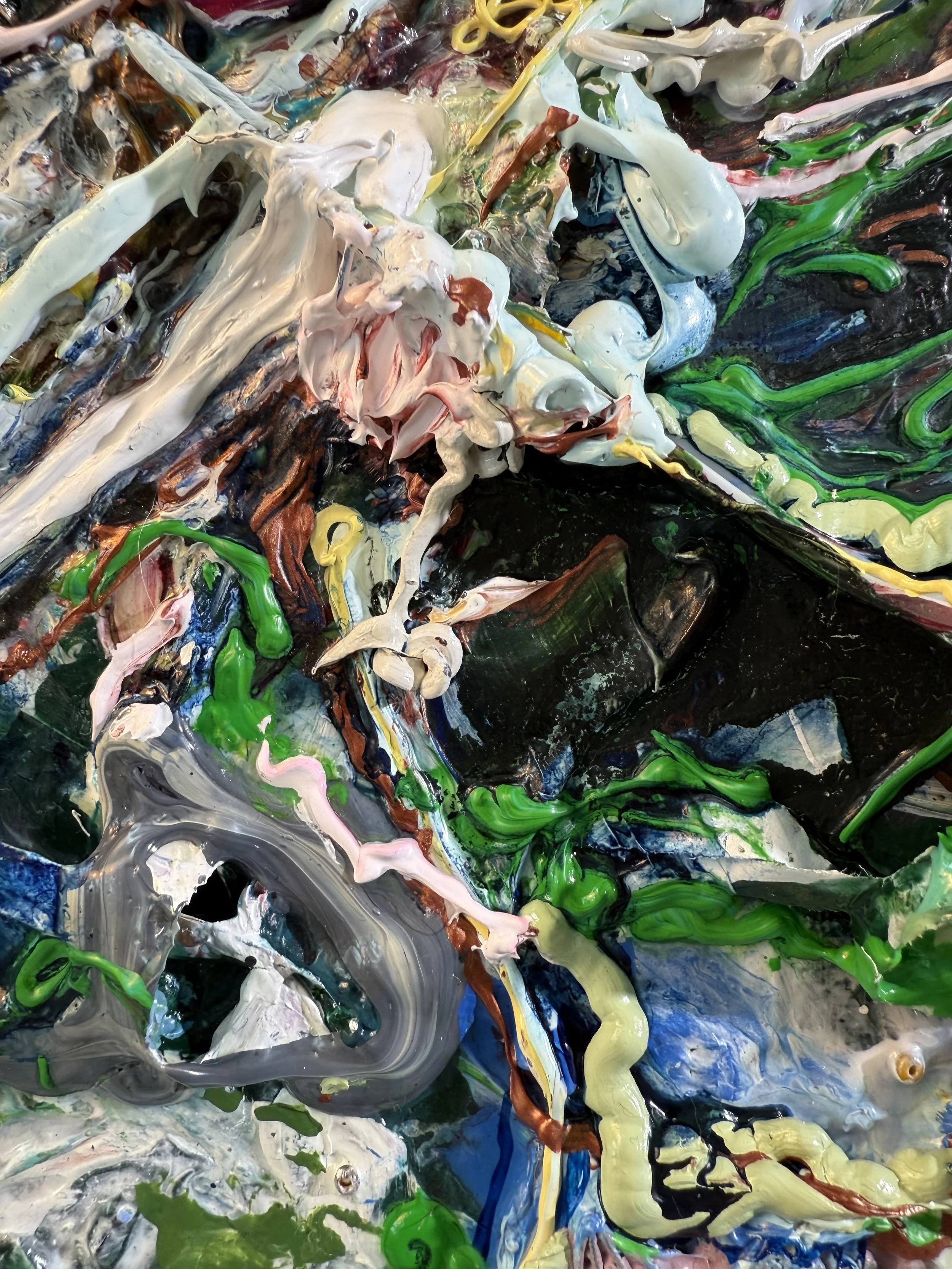 Fred_close up 14_ARTIST LIZ ALDERMAN.jpeg