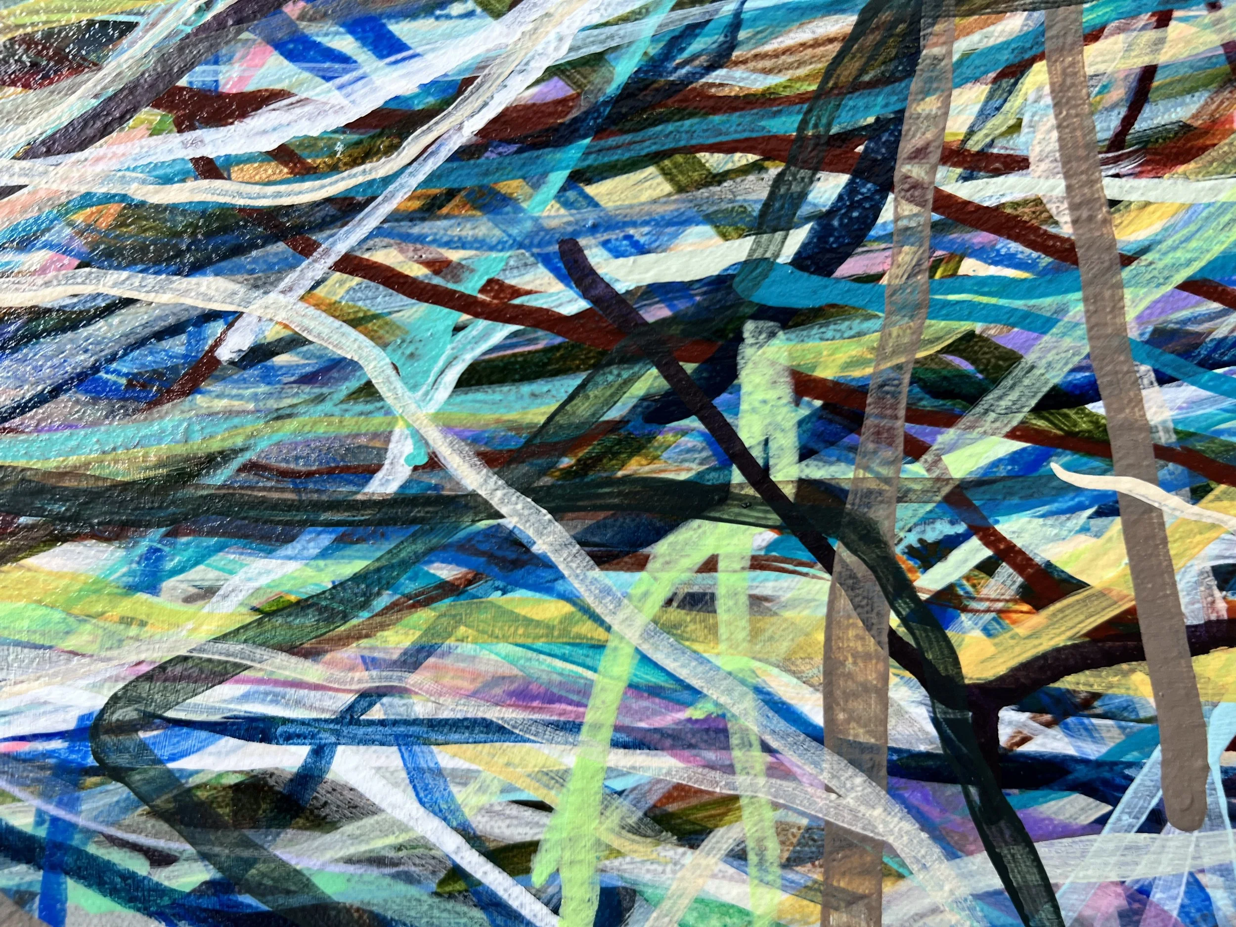 Zoomerang_ecu 9_ARTIST LIZ ALDERMAN.jpeg