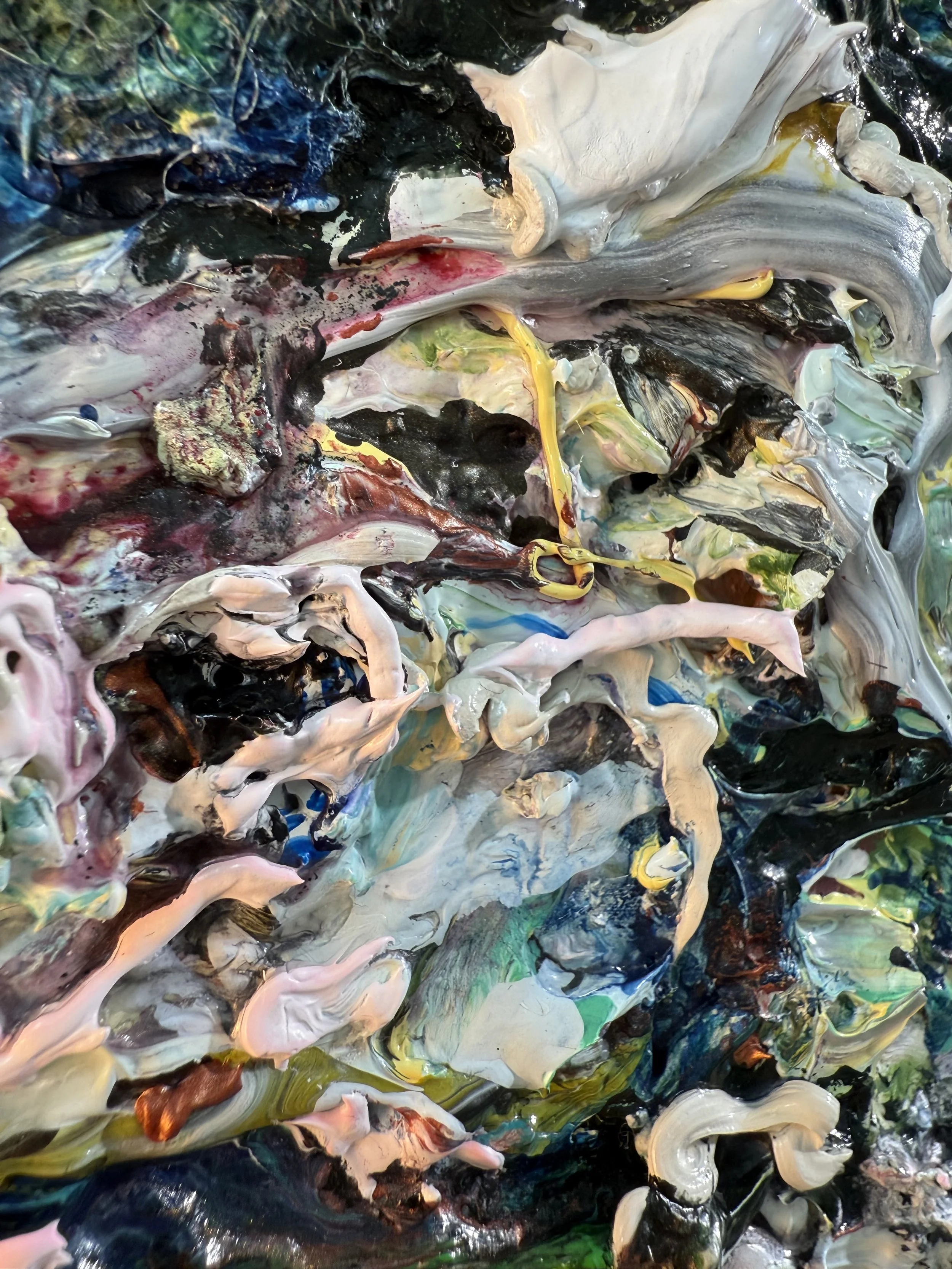 Fred_raking view 22_ARTIST LIZ ALDERMAN.jpeg