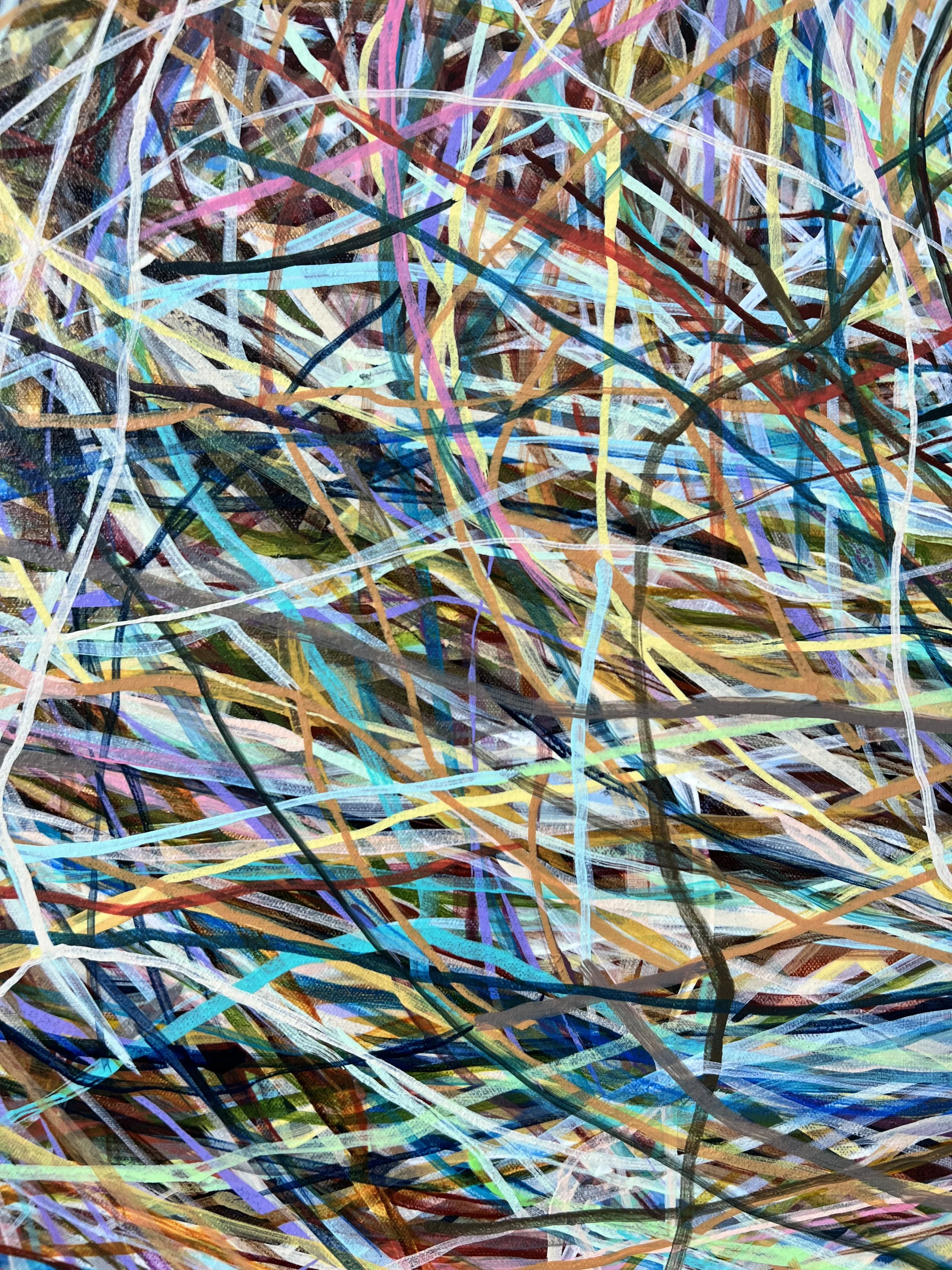 Zoomerang_detail 31_ARTIST LIZ ALDERMAN.jpeg