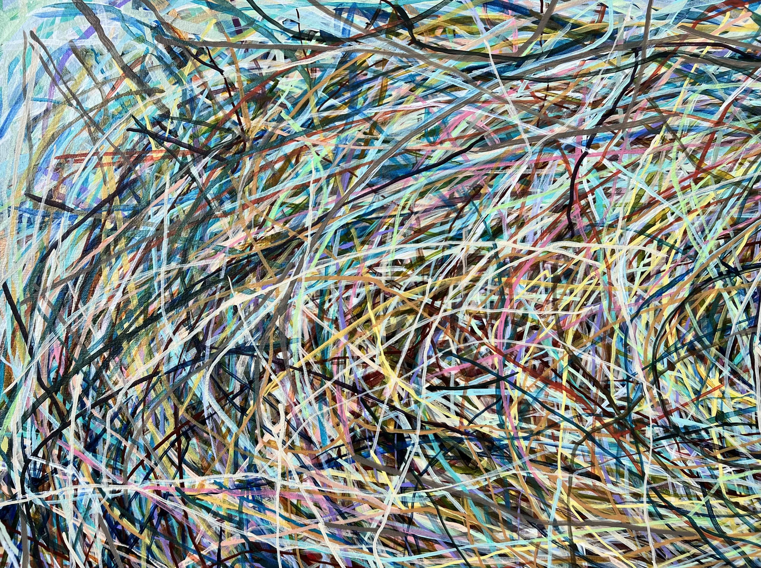 Zoomerang_detail 4_ARTIST LIZ ALDERMAN.jpeg