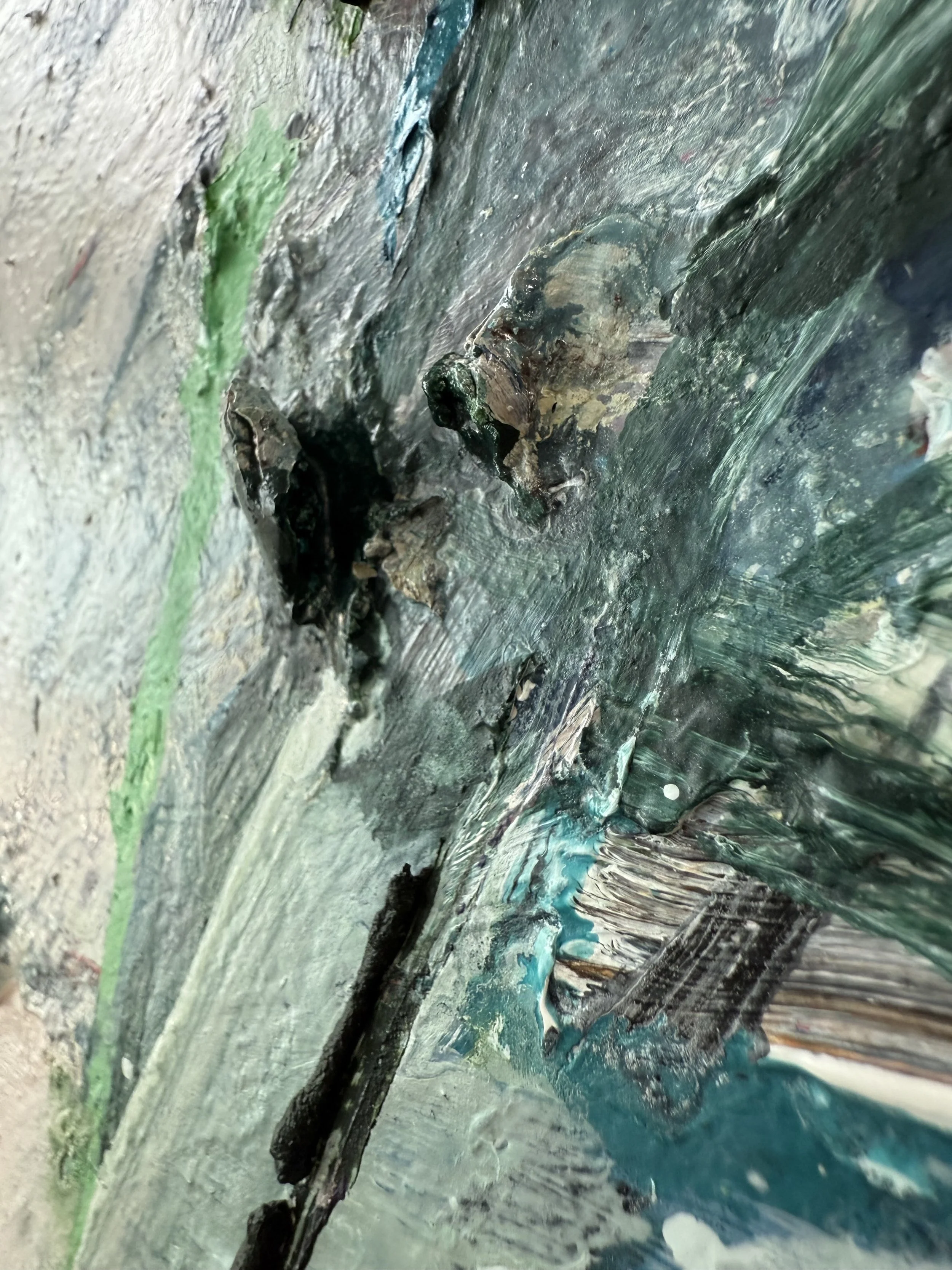 Josh_raking view 7_ARTIST LIZ ALDERMAN_BIRD PAINTING.jpeg