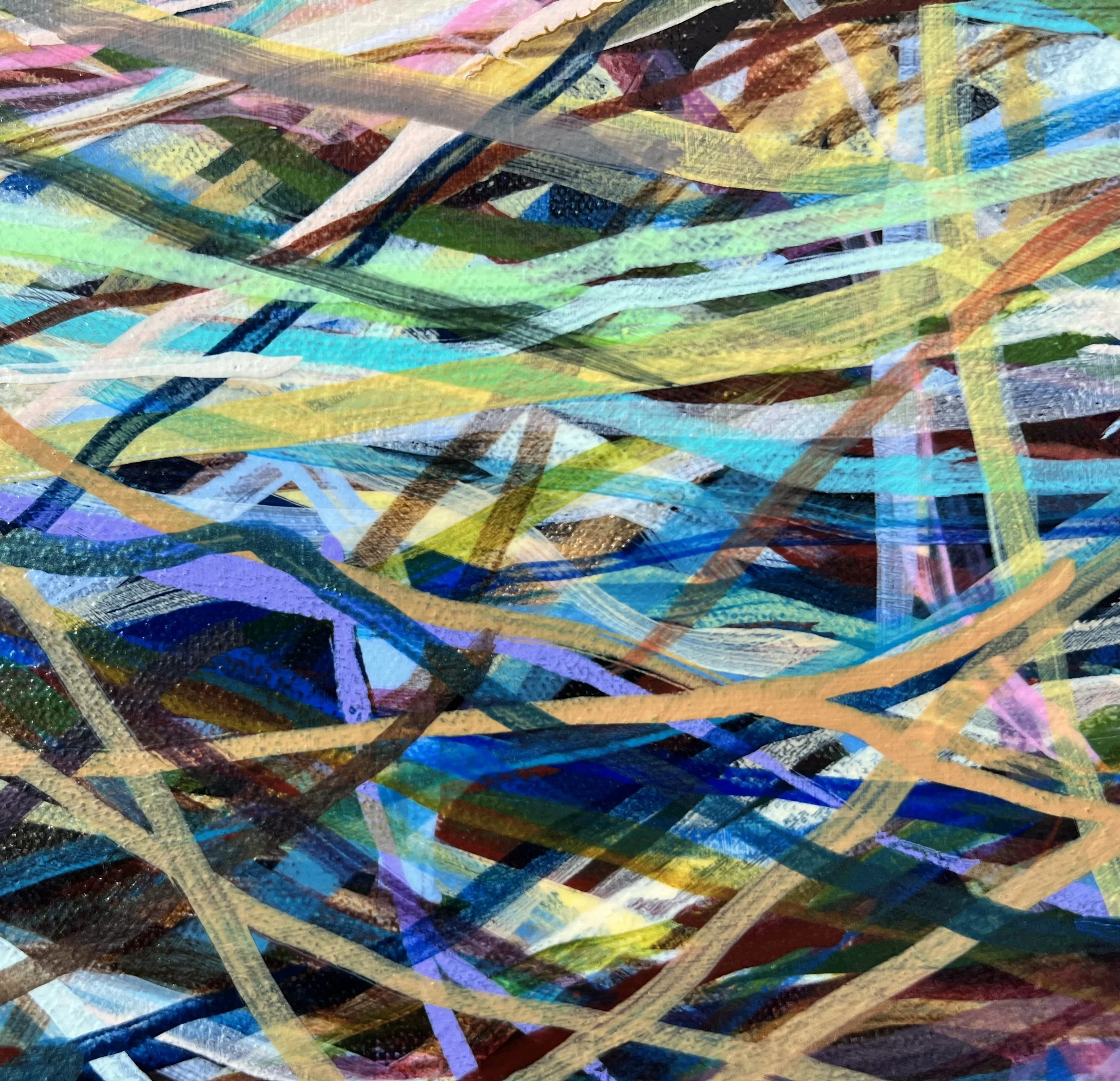 Zoomerang_close up 41_ARTIST LIZ ALDERMAN.jpeg