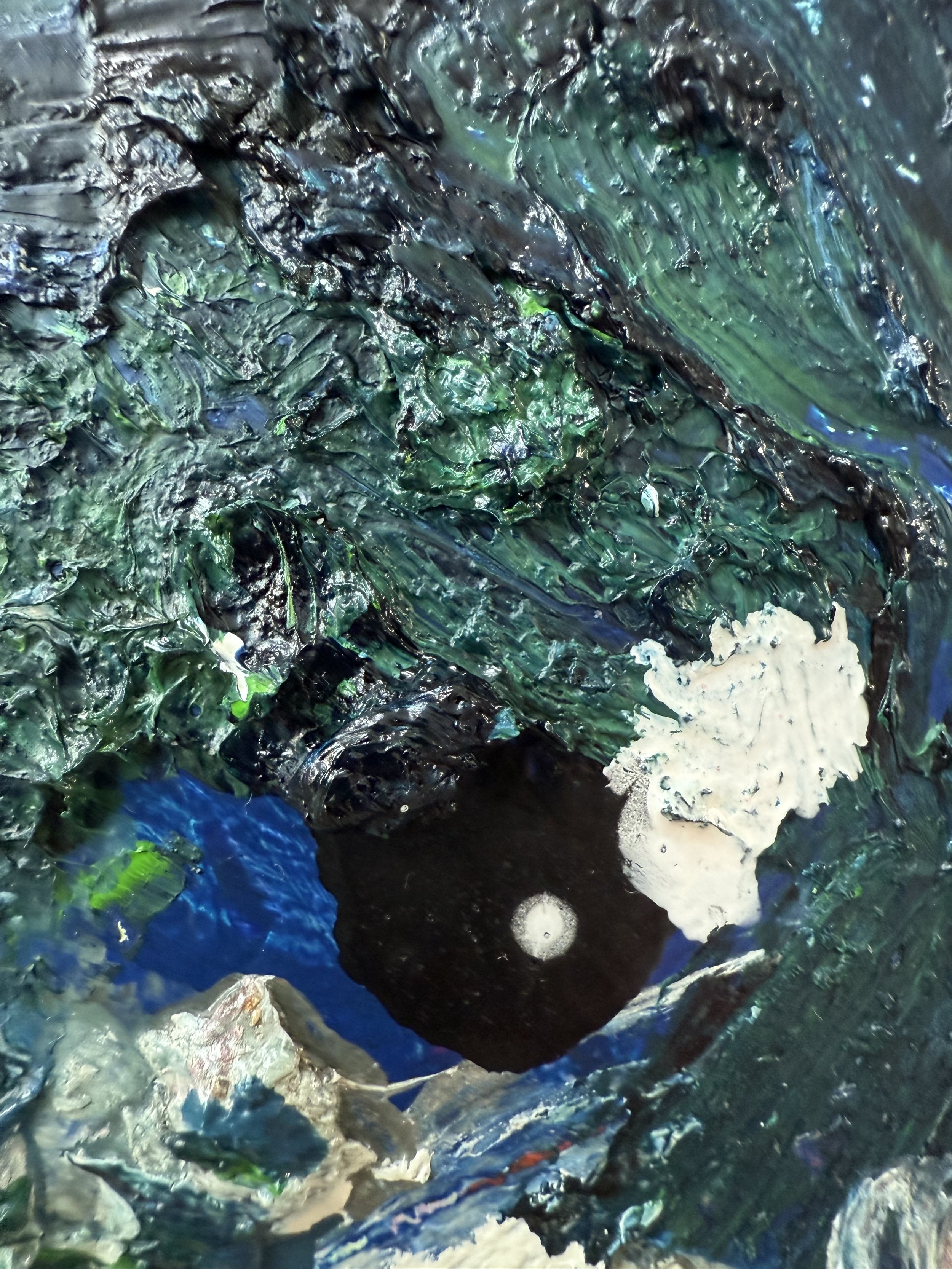 Josh_close up 4_ARTIST LIZ ALDERMAN_BIRD PAINTING.jpeg