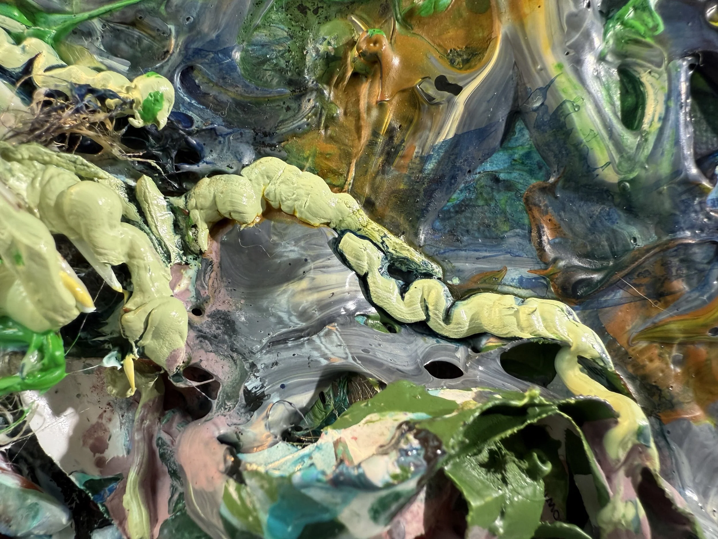 Fred_zoom 8_ARTIST LIZ ALDERMAN.jpeg