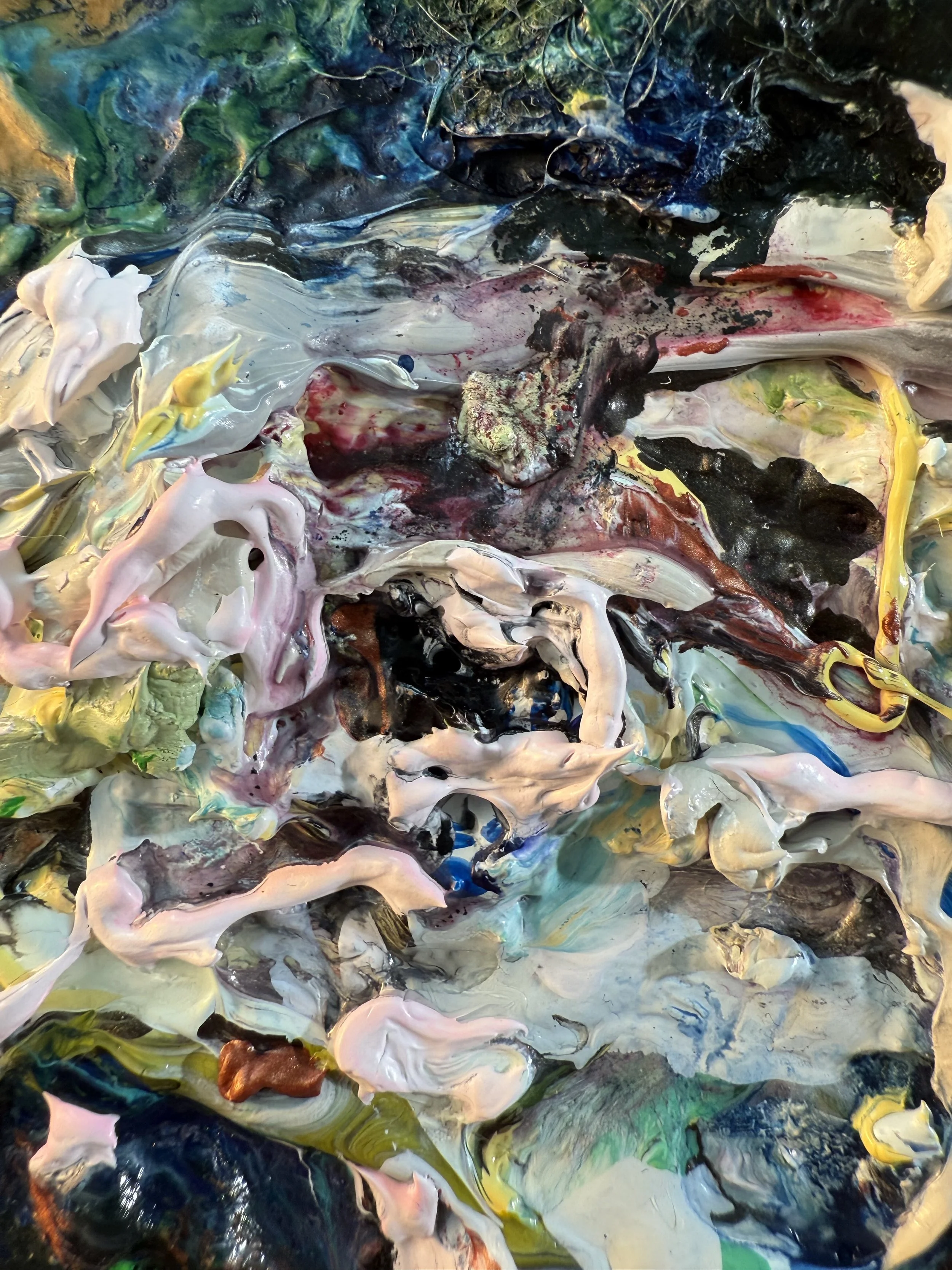 Fred_zoom 17_ARTIST LIZ ALDERMAN.jpeg