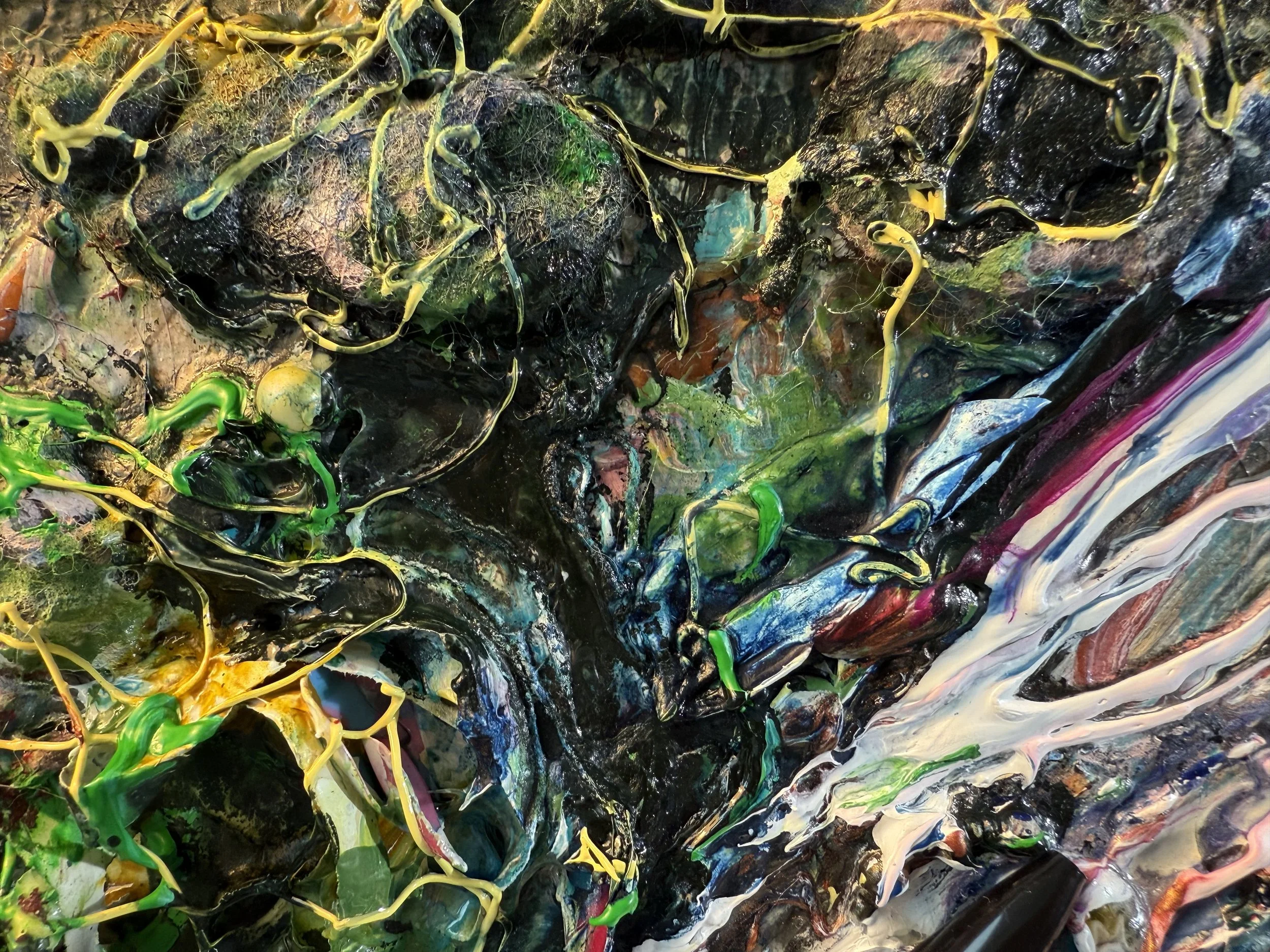 Fred_zoom 3_ARTIST LIZ ALDERMAN.jpeg