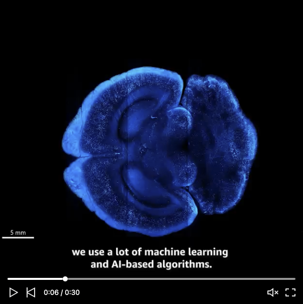 Screenshot 2026-03-03 at 10.37.56 AM.png