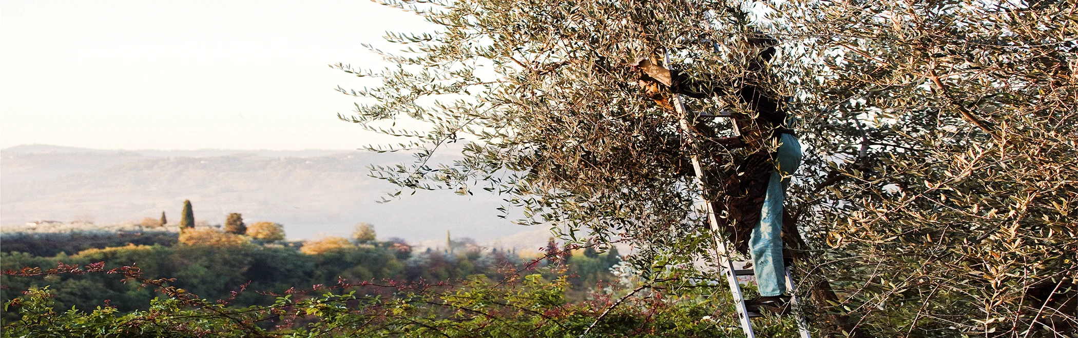 Travel header_Rome_U5T2814_DxOFP.jpg