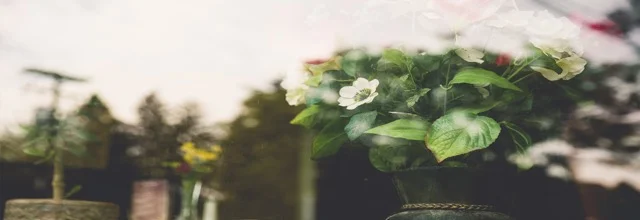 Lifestyle header2.jpeg