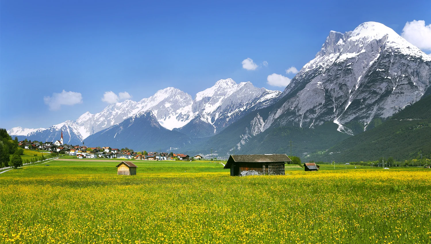 Fields of flowers bloom during the Austrian summer, carpeting the Inn Valley. Here, the Hohe Munde mountain range towers above a picturesque settlement.&nbsp;  Photograph from Photolibrary.