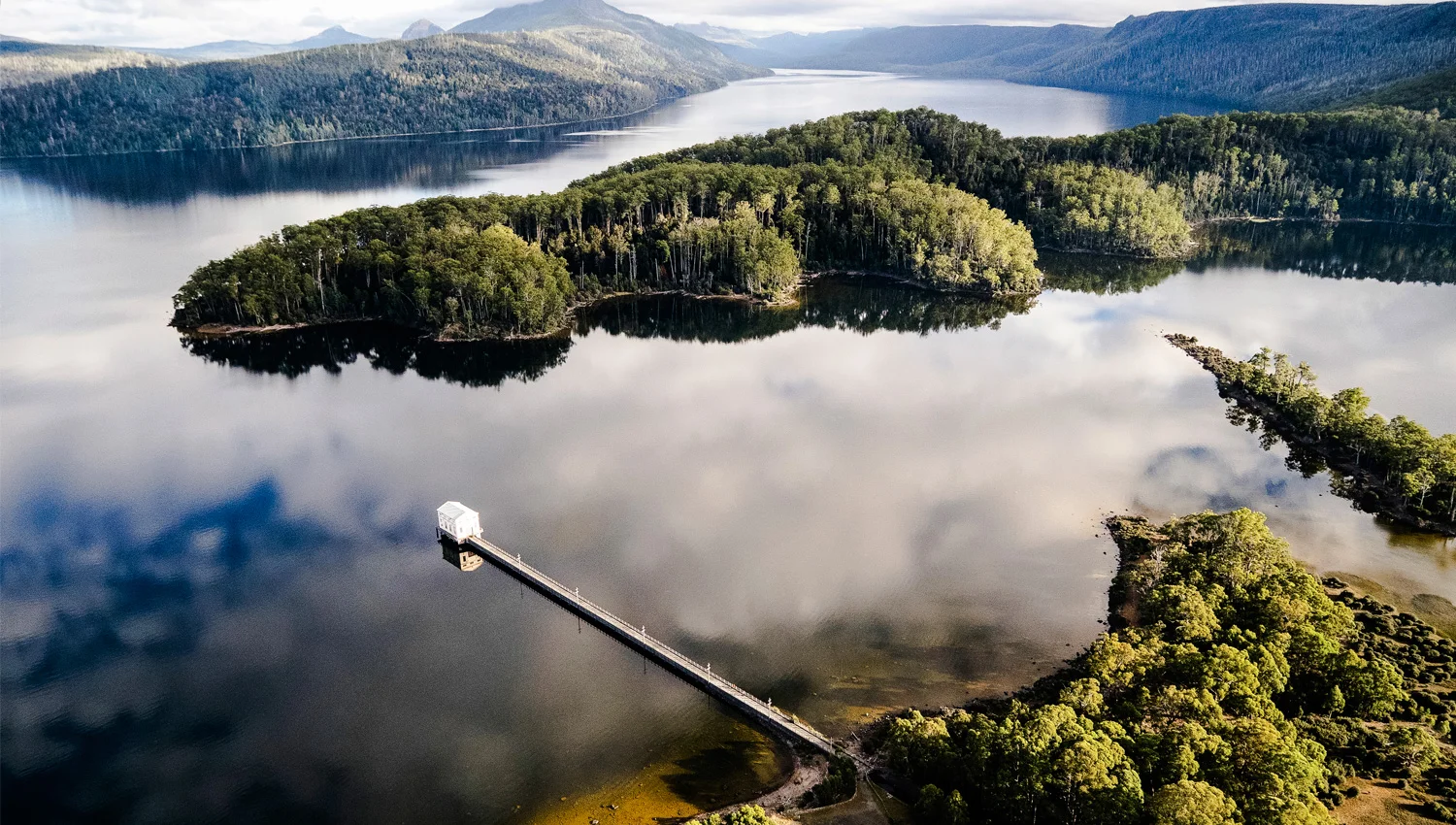 Photograph by Stu Gibson.