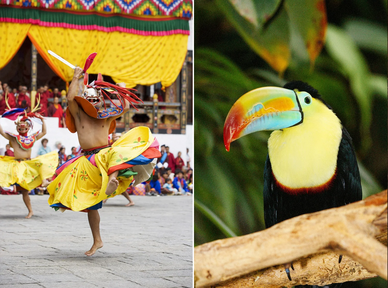 LEFT  Masked dancers celebrate a Buddhist festival in Thimpu, the capital of Bhutan.  RIGHT  The rich biodiversity of Costa Rica’s rainforests includes several species of toucans.&nbsp;Photography from Photolibrary.