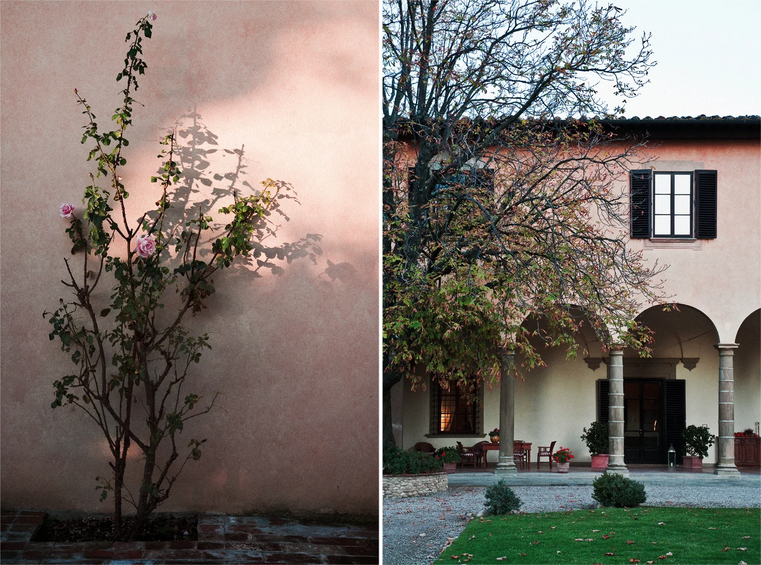 LEFT  A perfumed rose grows against the the wall of Villa il Poggiale, a historic estate just 10 minutes from downtown Florence.  RIGHT  The elegant portico of the villa, one of the oldest and most beautiful in San Casciano, Florence. Photography Matthew Lowden.