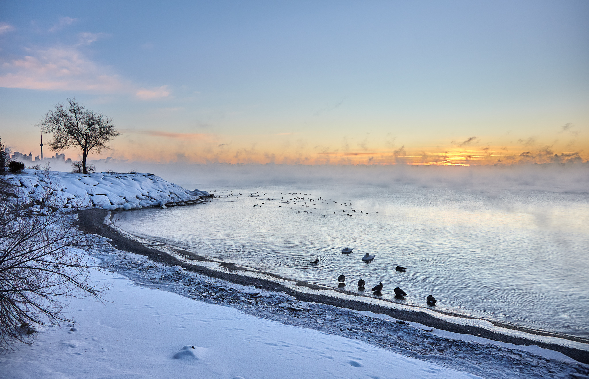 humber-bay_park_snow_sunrise_cn-tower_ducks_beach_01.jpg