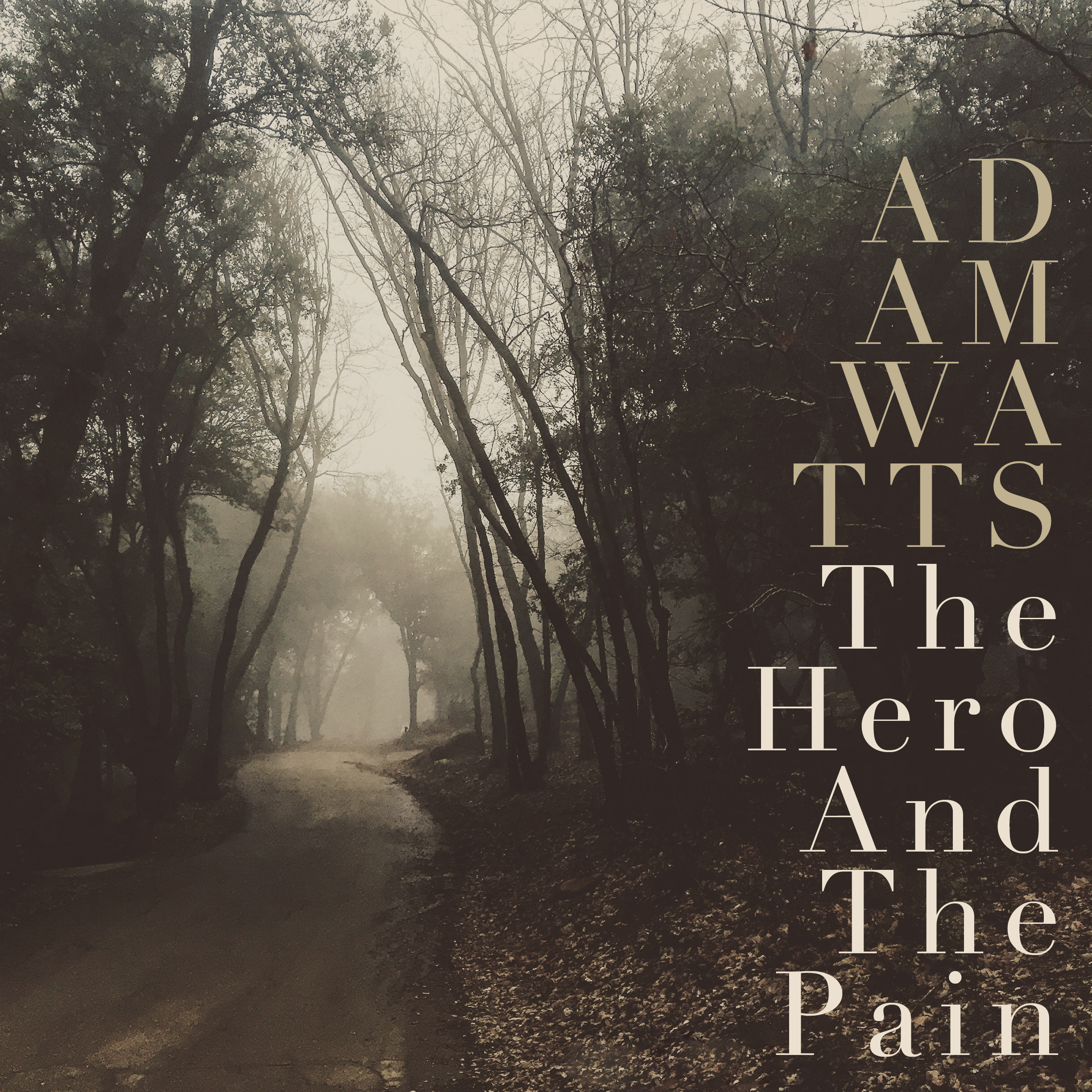 The Hero And The Pain-Adam Watts (Cover).jpg