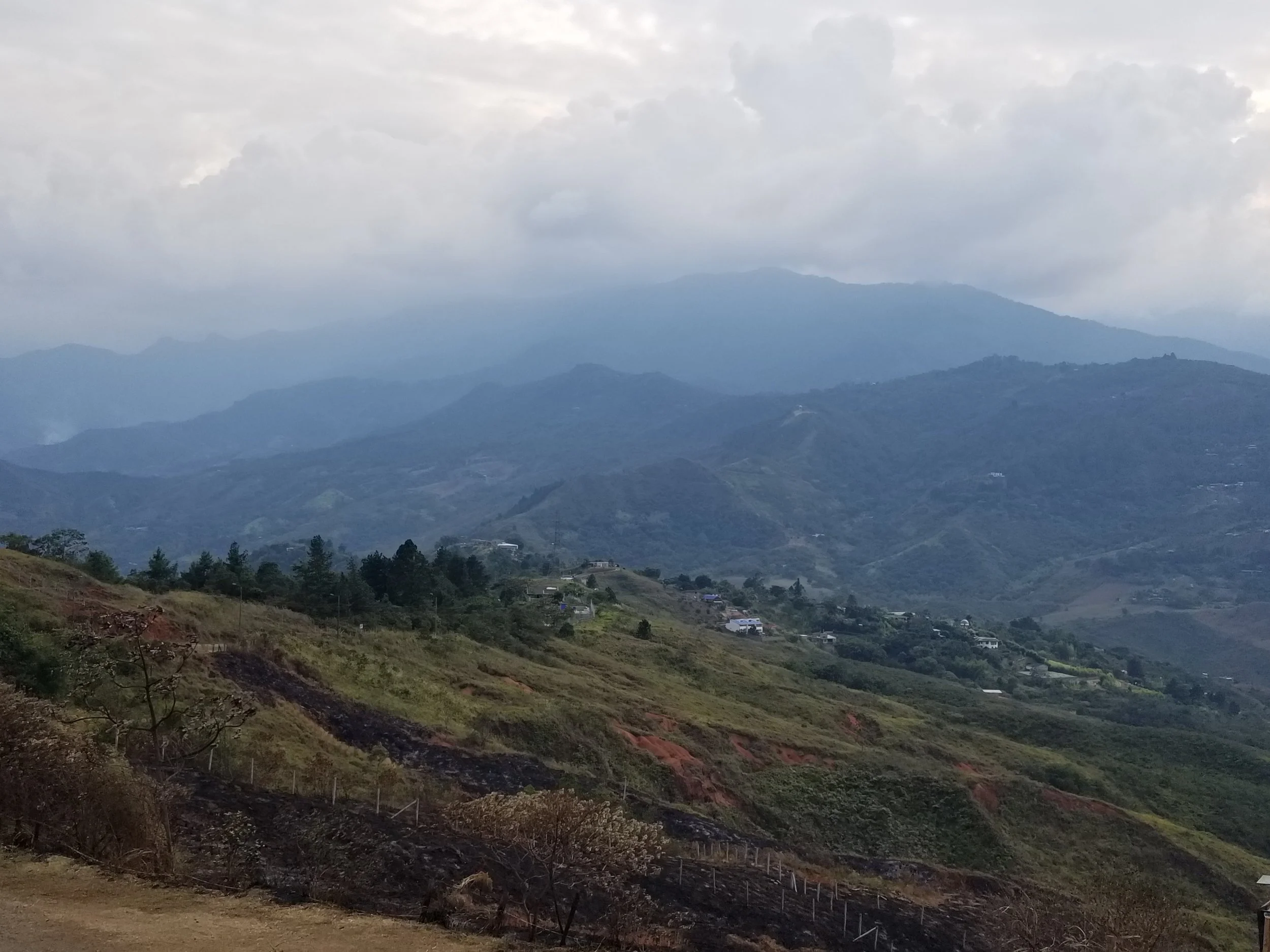 20180906_152323.jpg