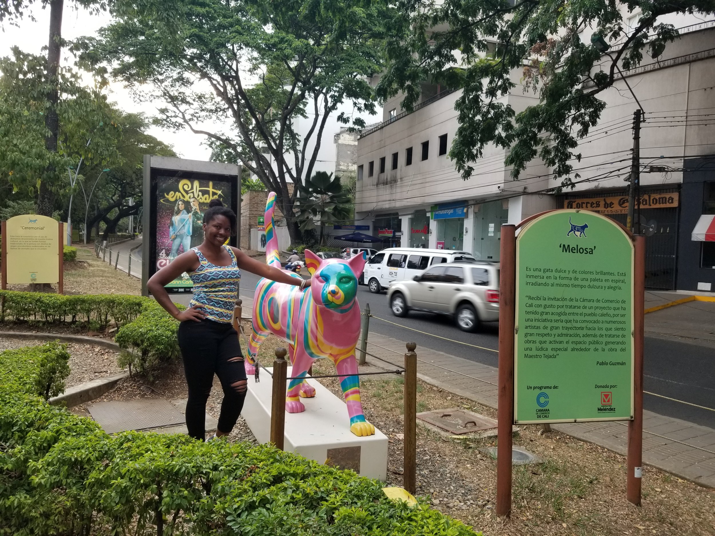 20180906_164837.jpg