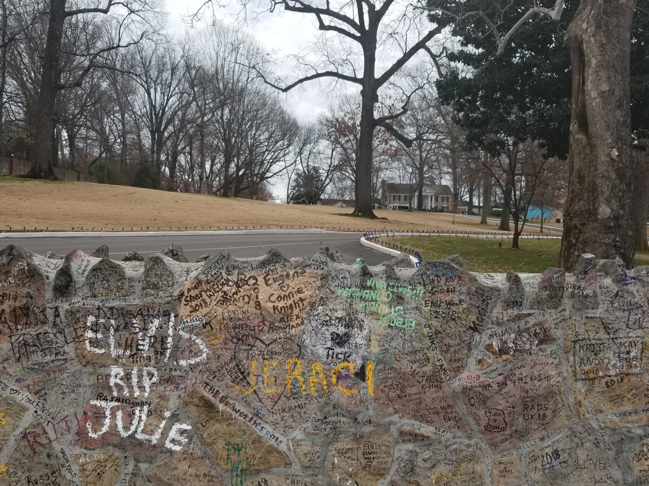20181229_161500.jpg