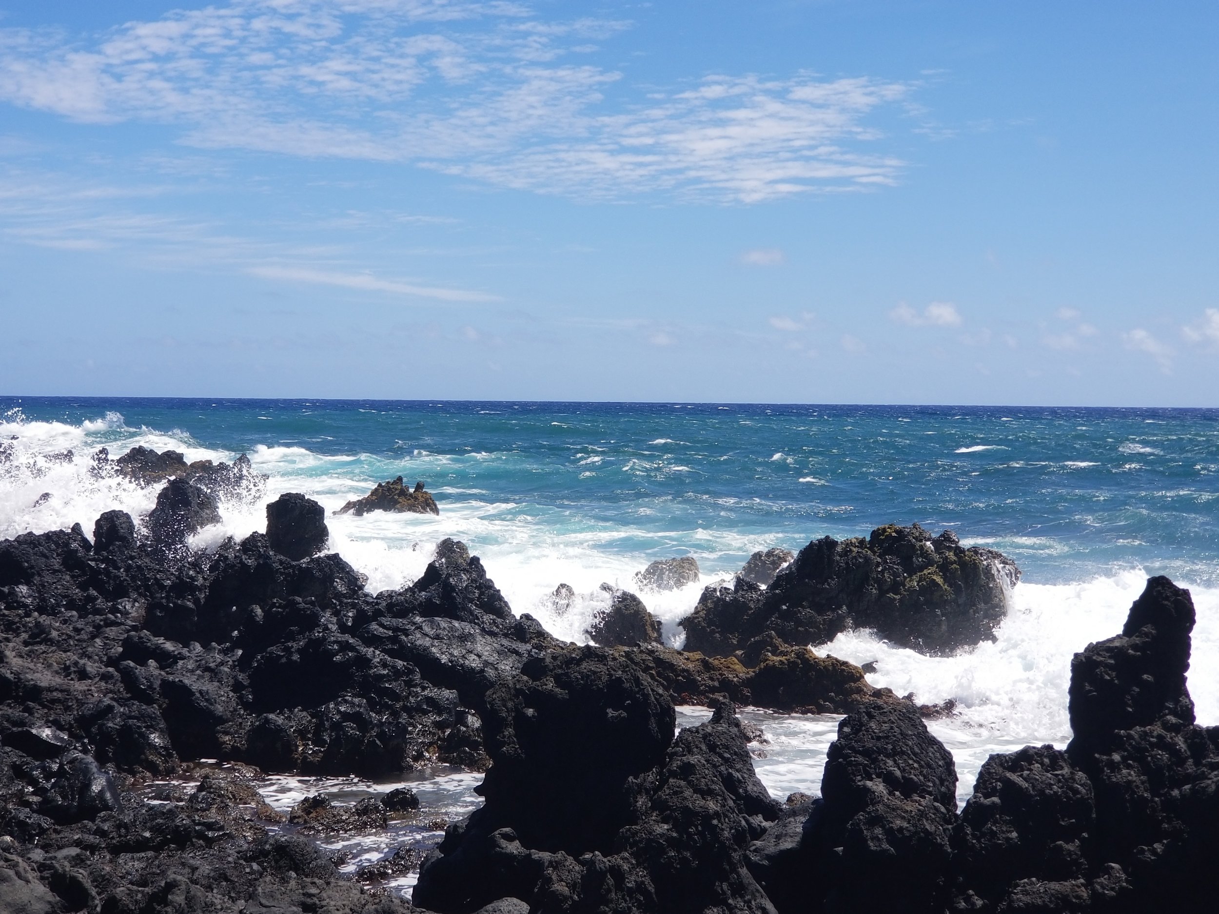 20190804_104720.jpg