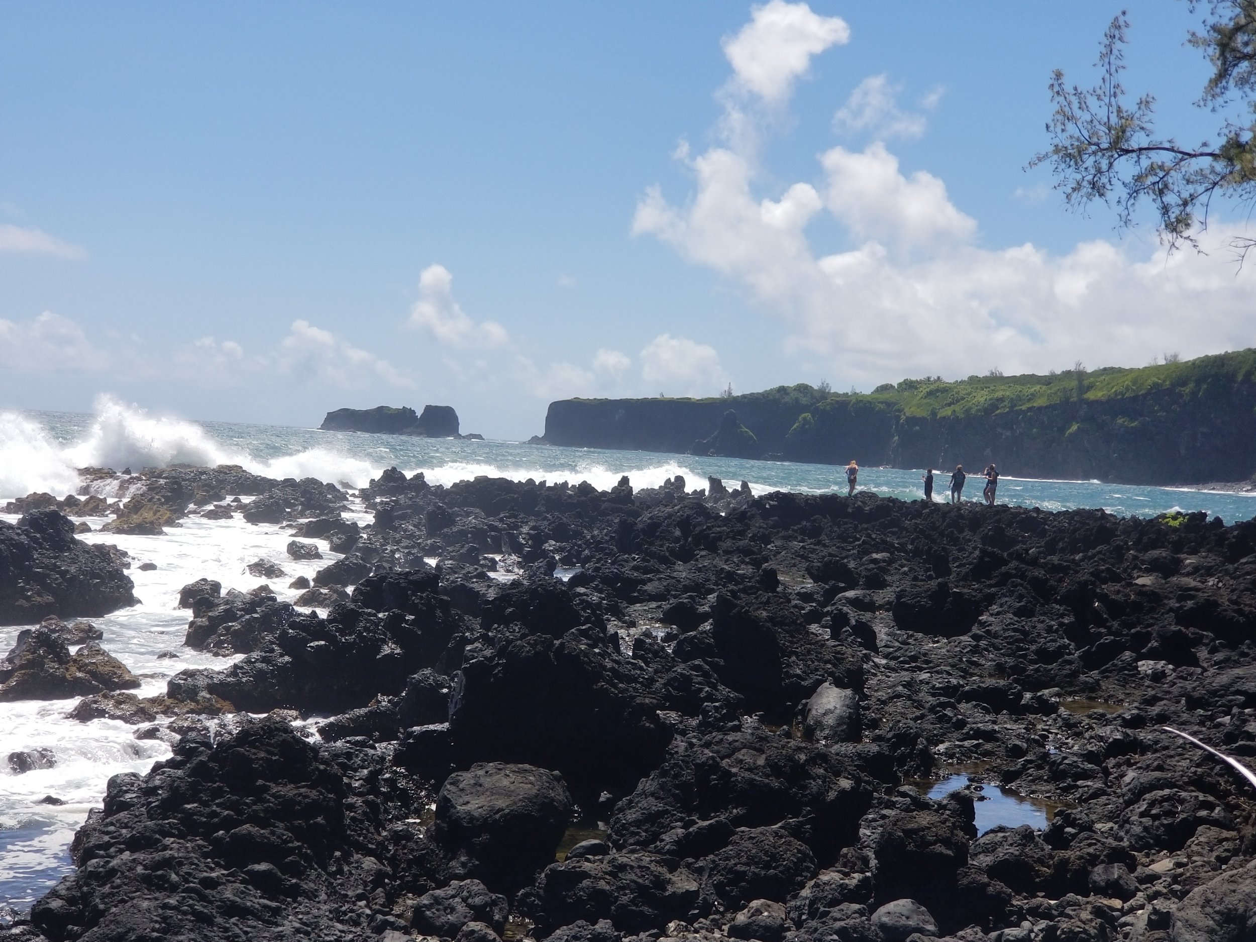 20190804_104724.jpg