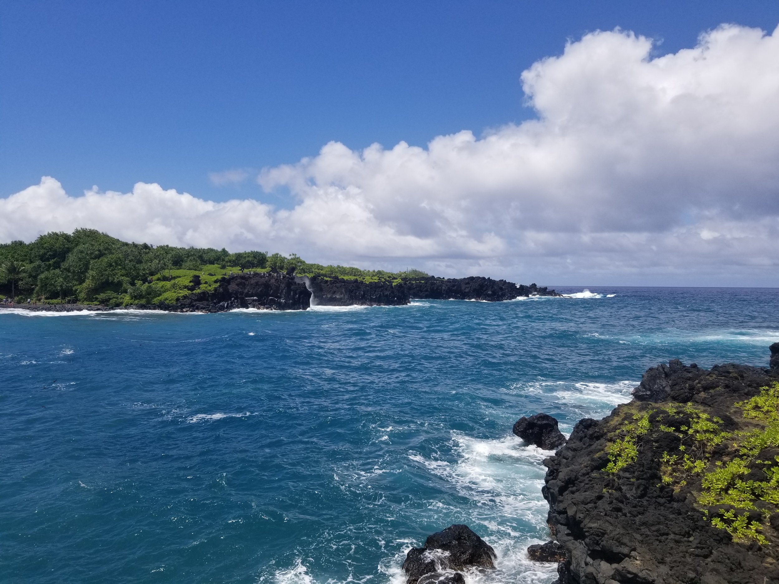 20190804_133808.jpg