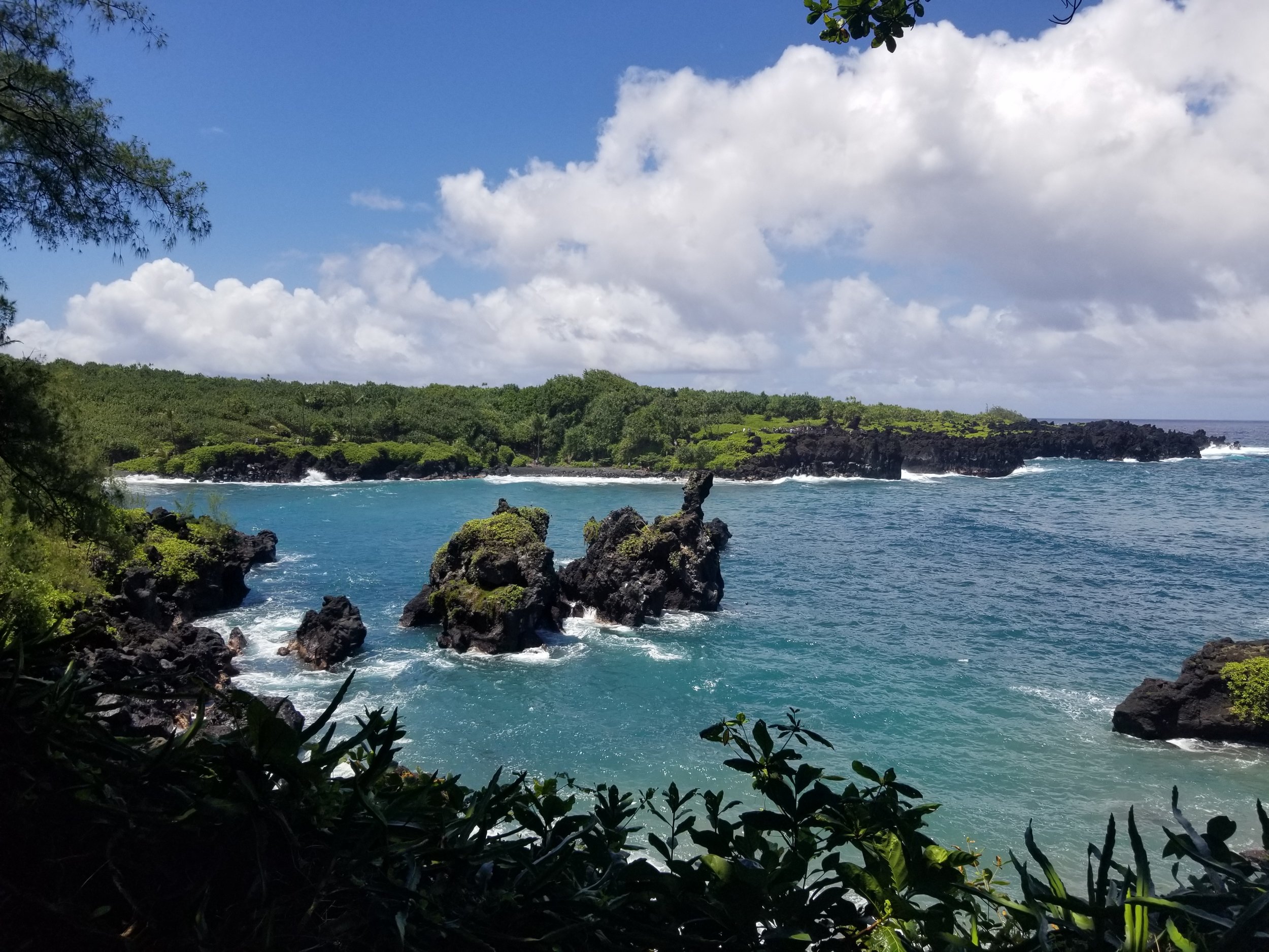 20190804_134531.jpg