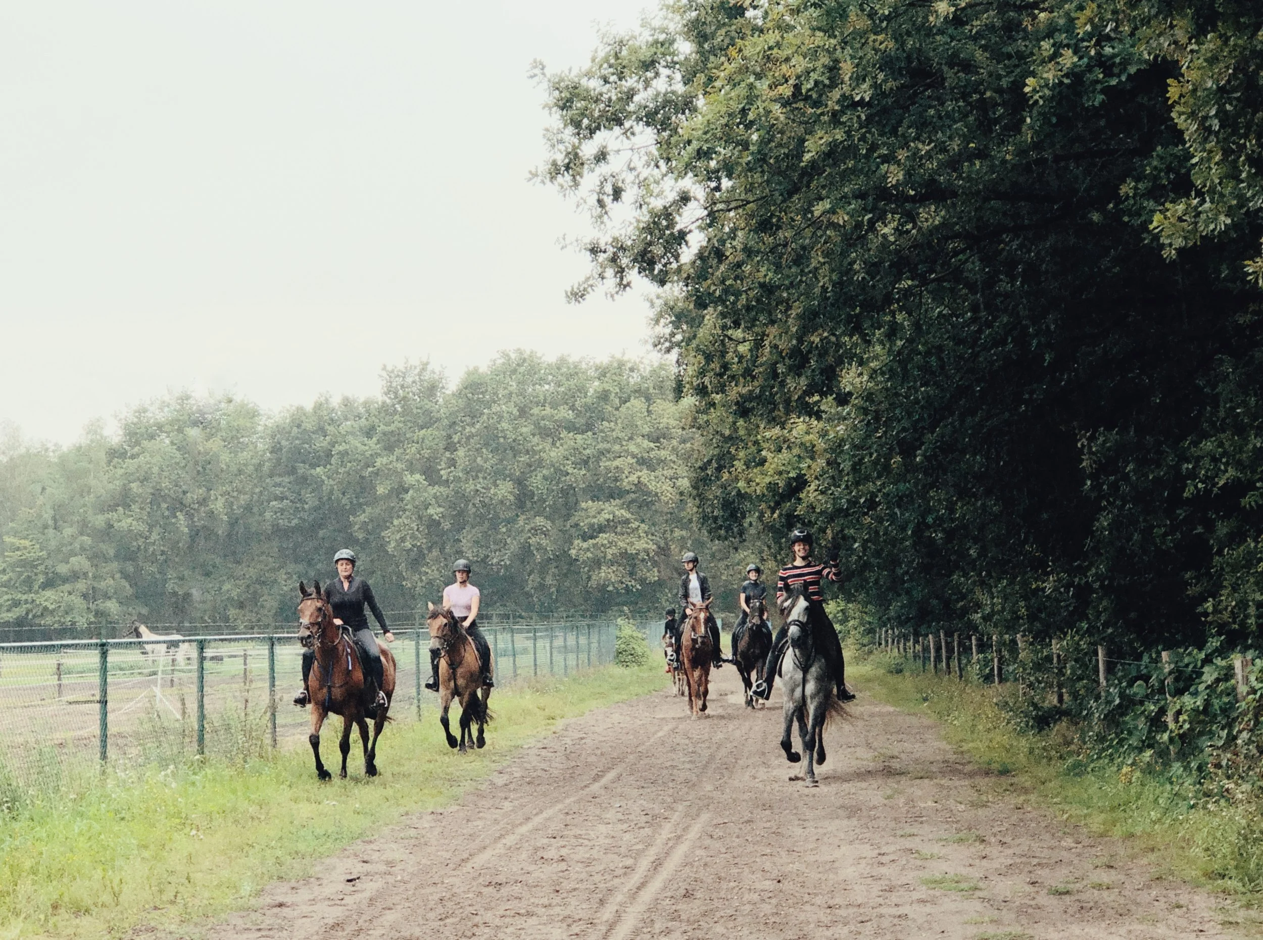 Ponykamp (zomervakantie week 1)