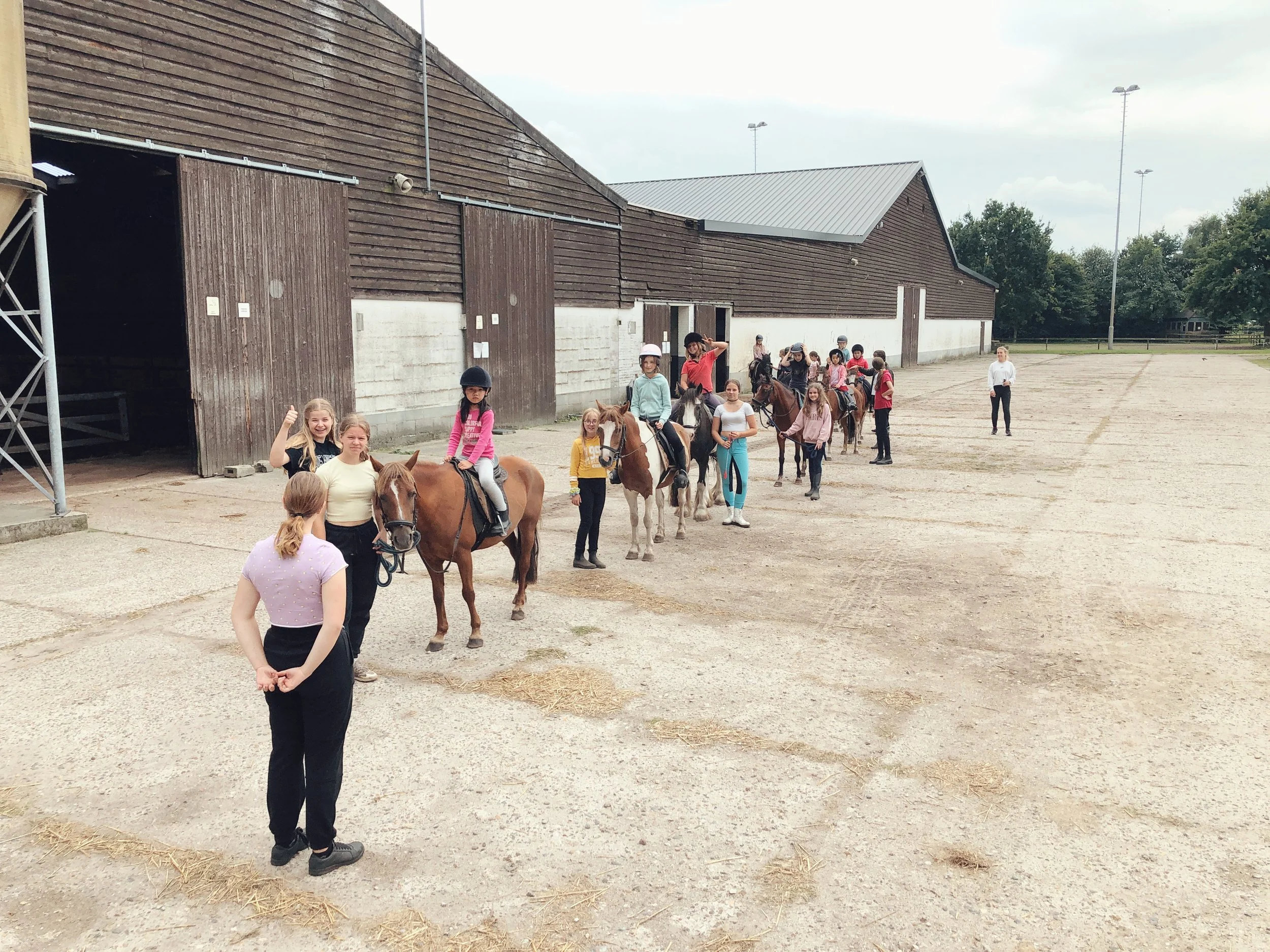 Ponykamp (zomervakantie week 2)