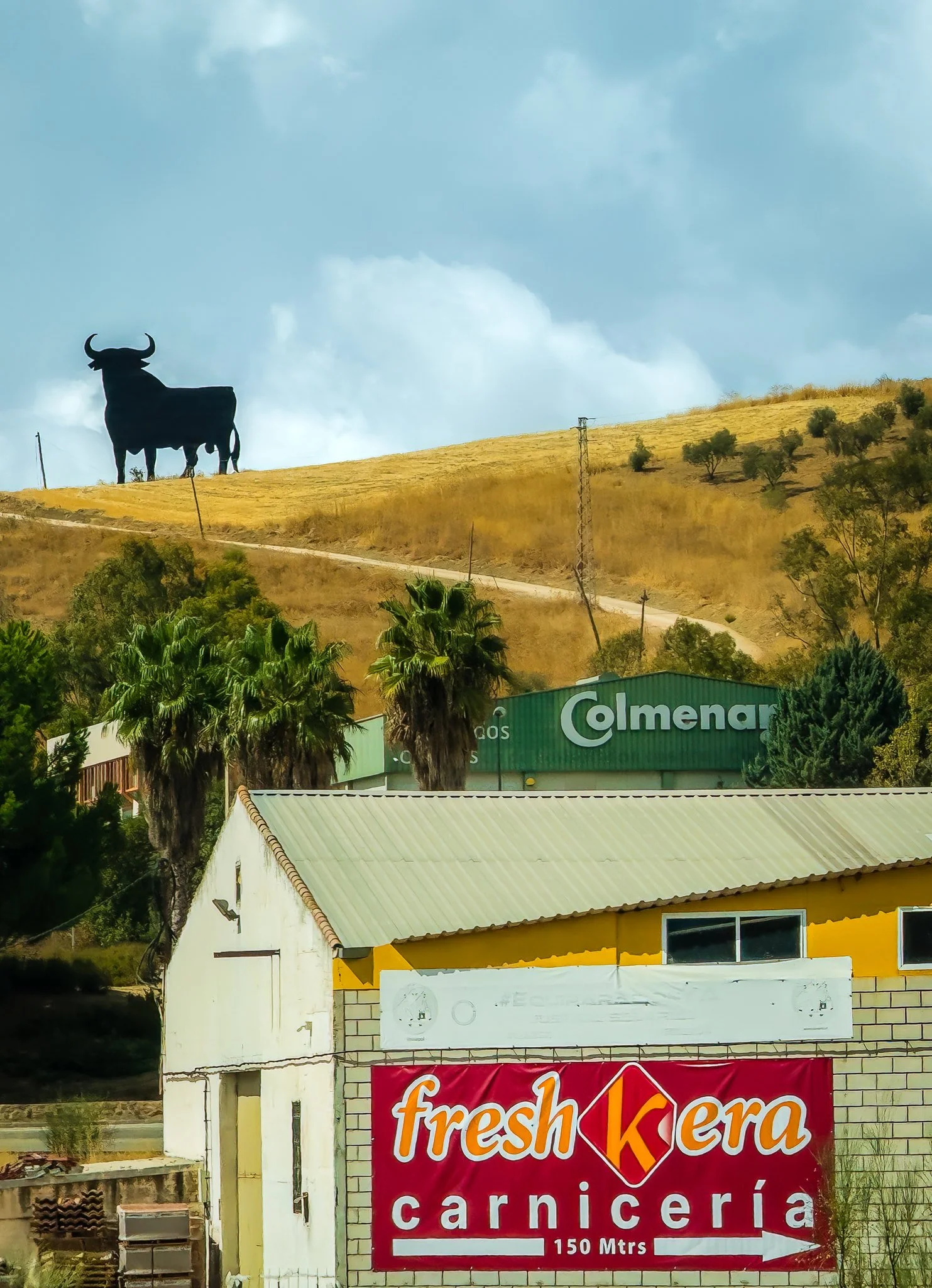 Osborne Bull