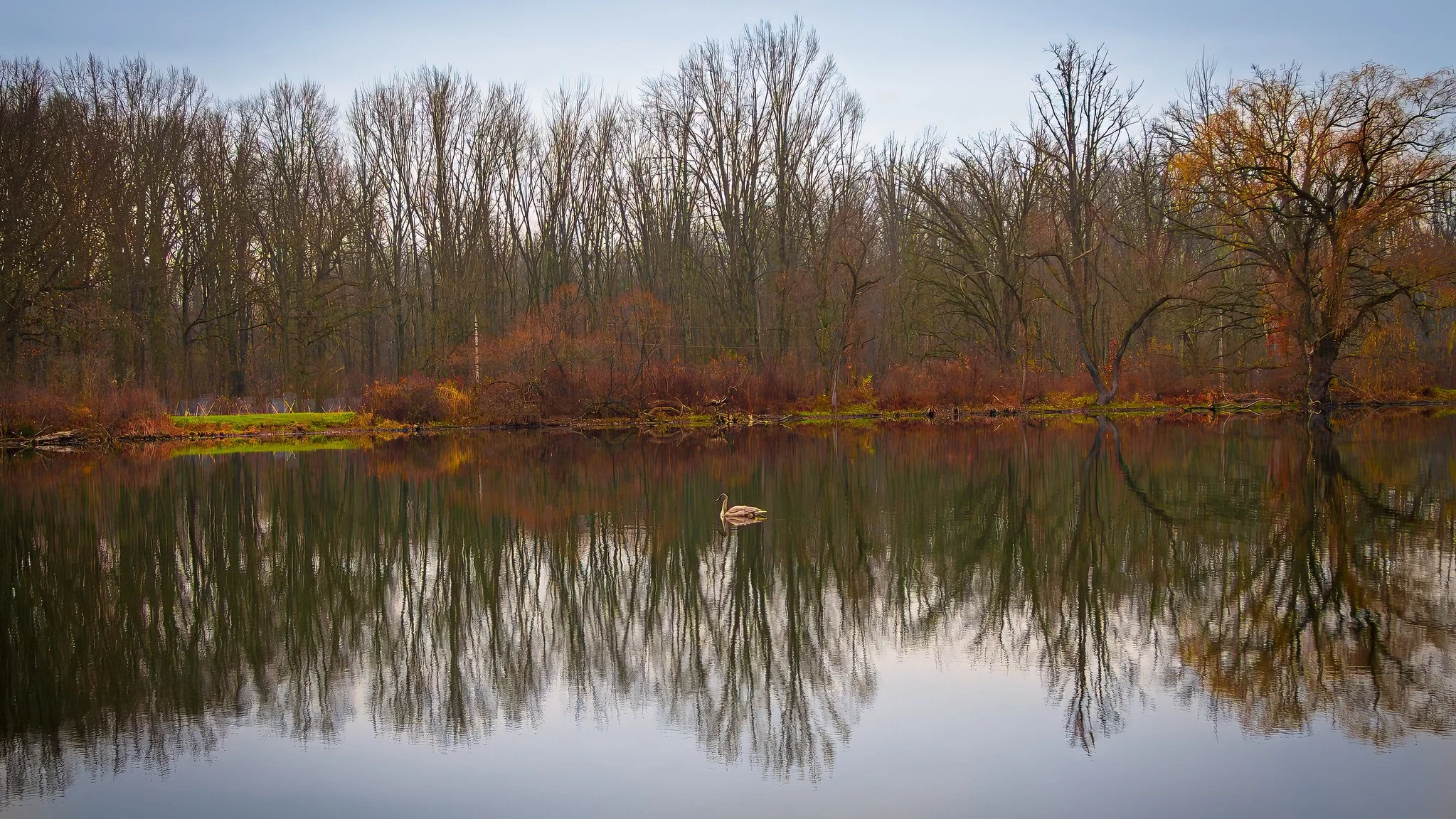 Libertyy Park Tinkers Creek Area