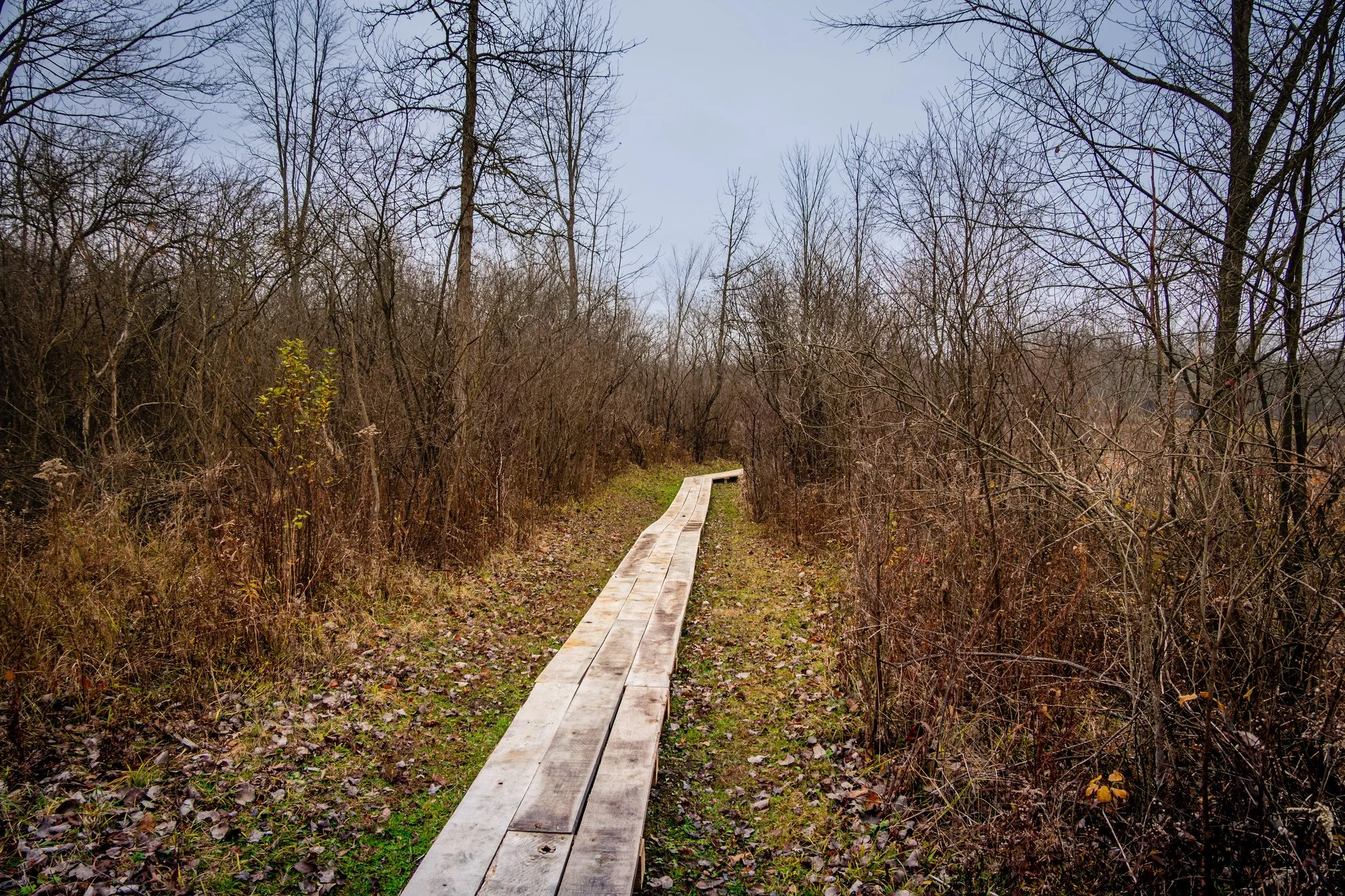 Libertyy Park Tinkers Creek Area