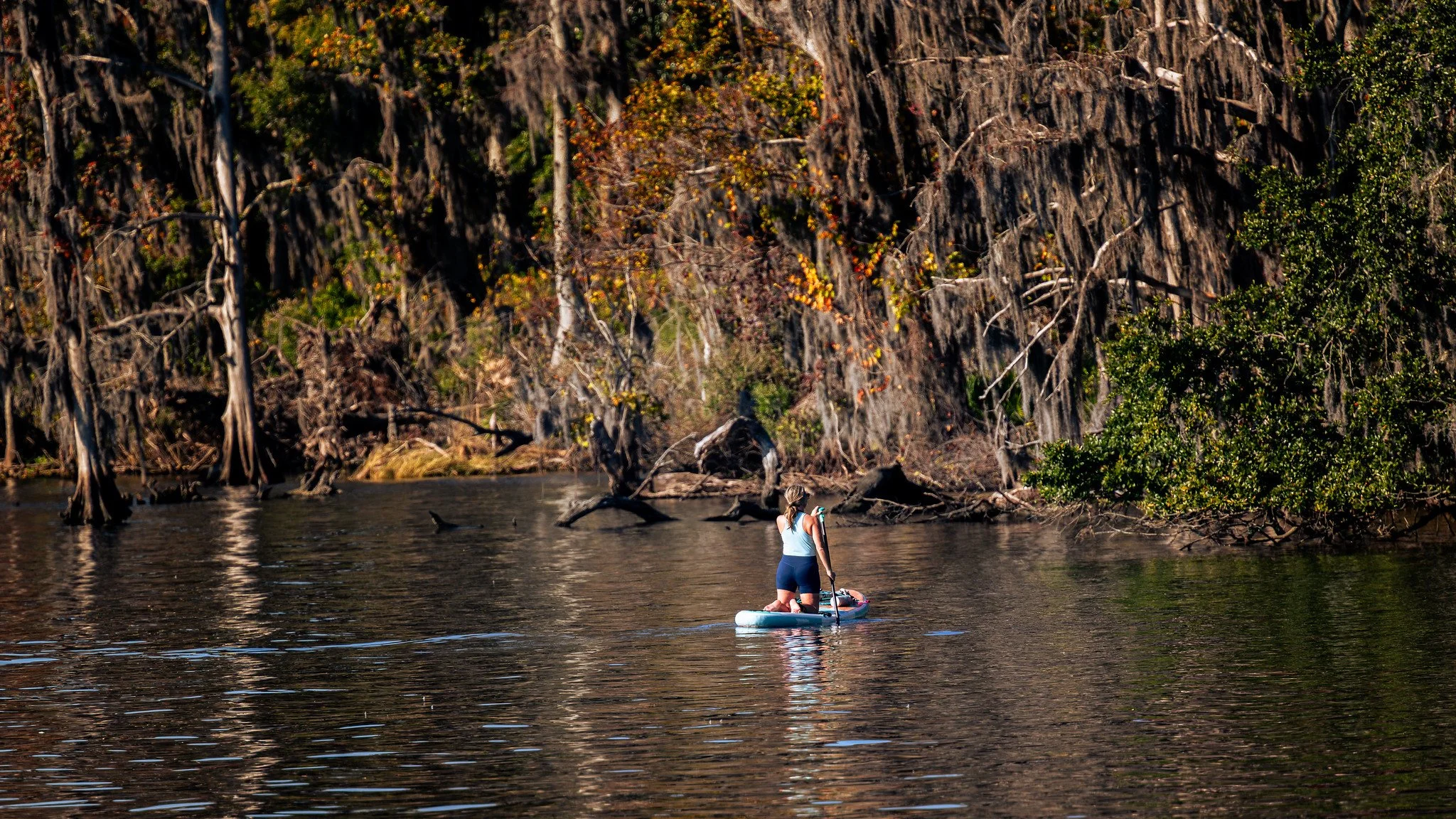 Paddle Boarding