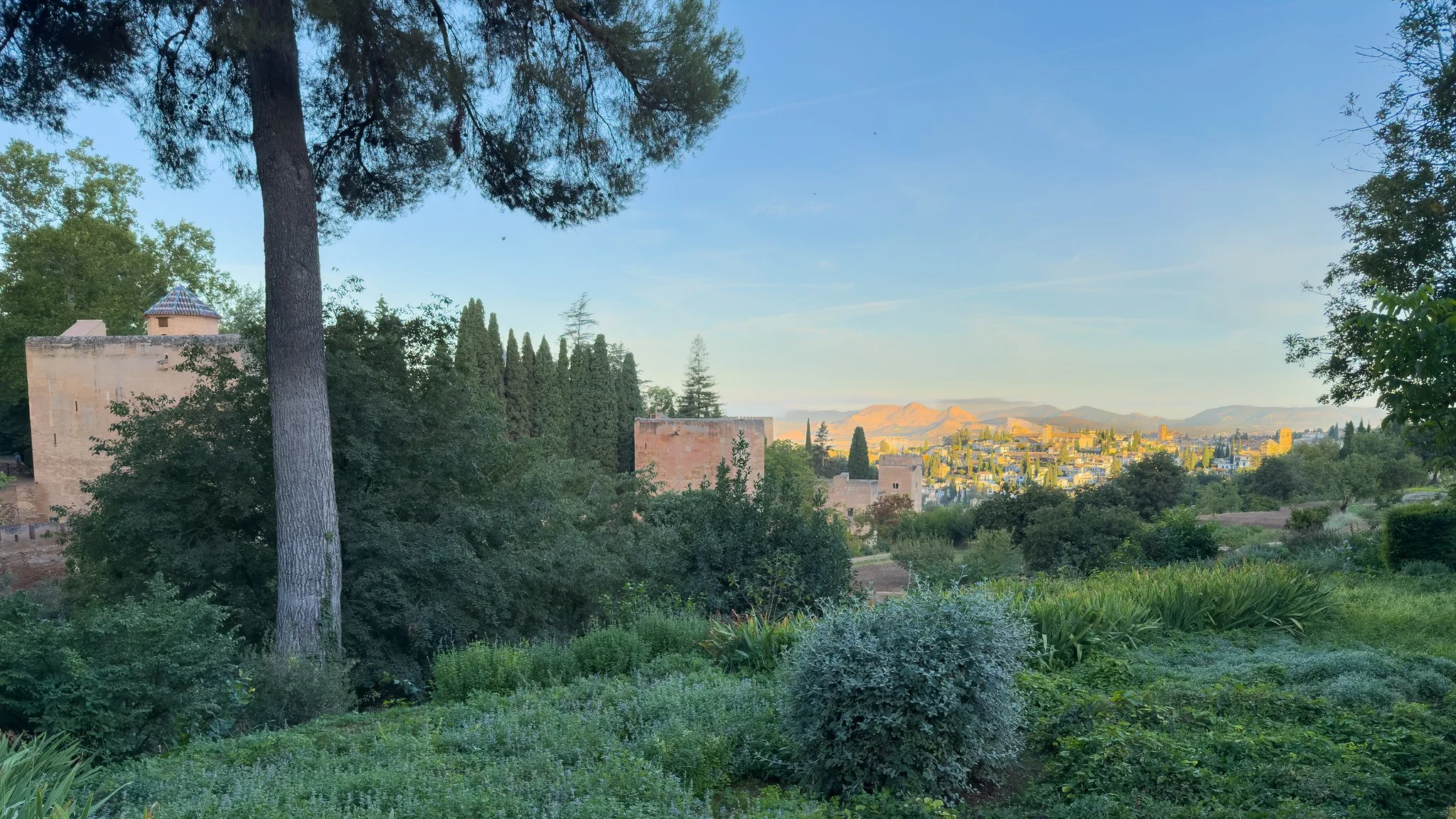 Alhambra and Granada