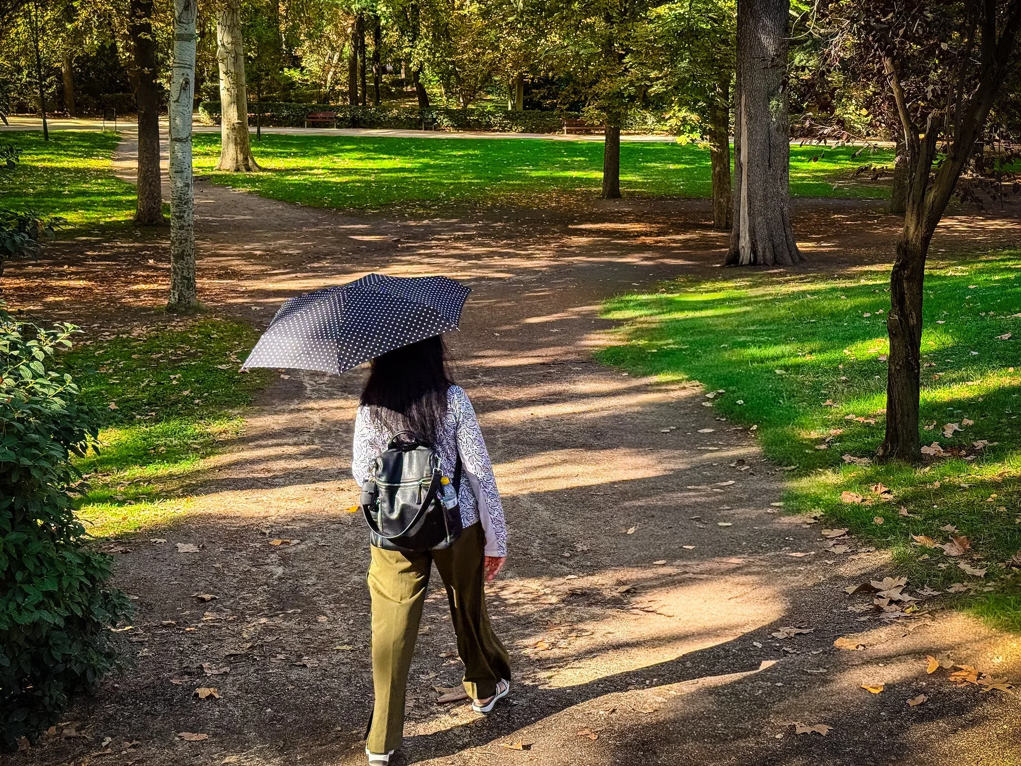 Stroll Through The Park
