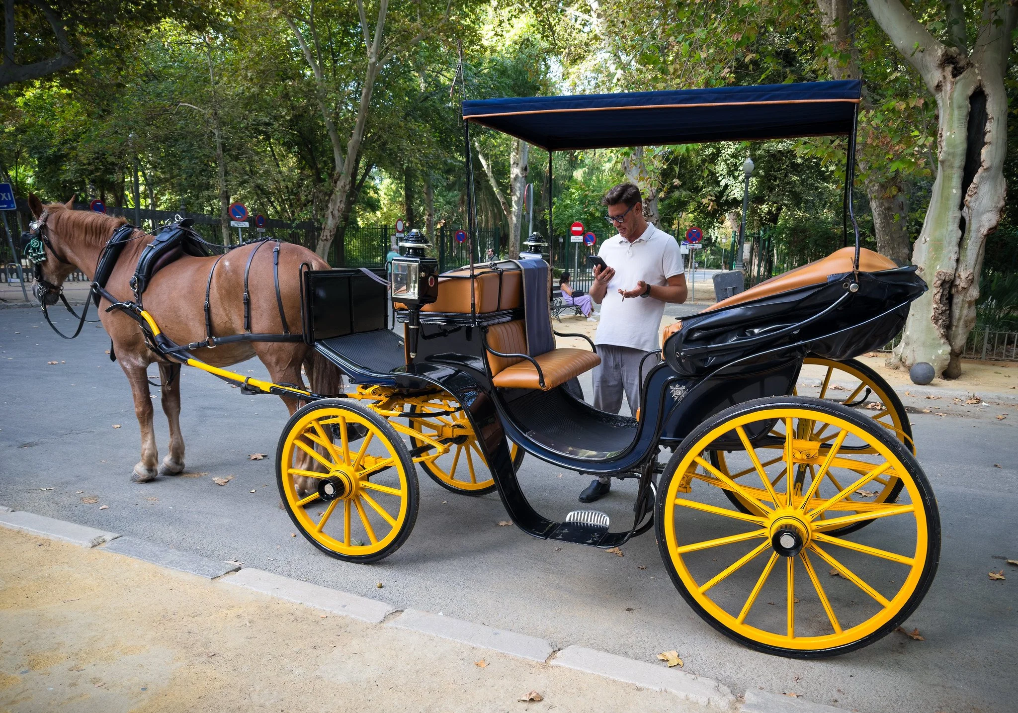Horse Drawn Carriage Ride