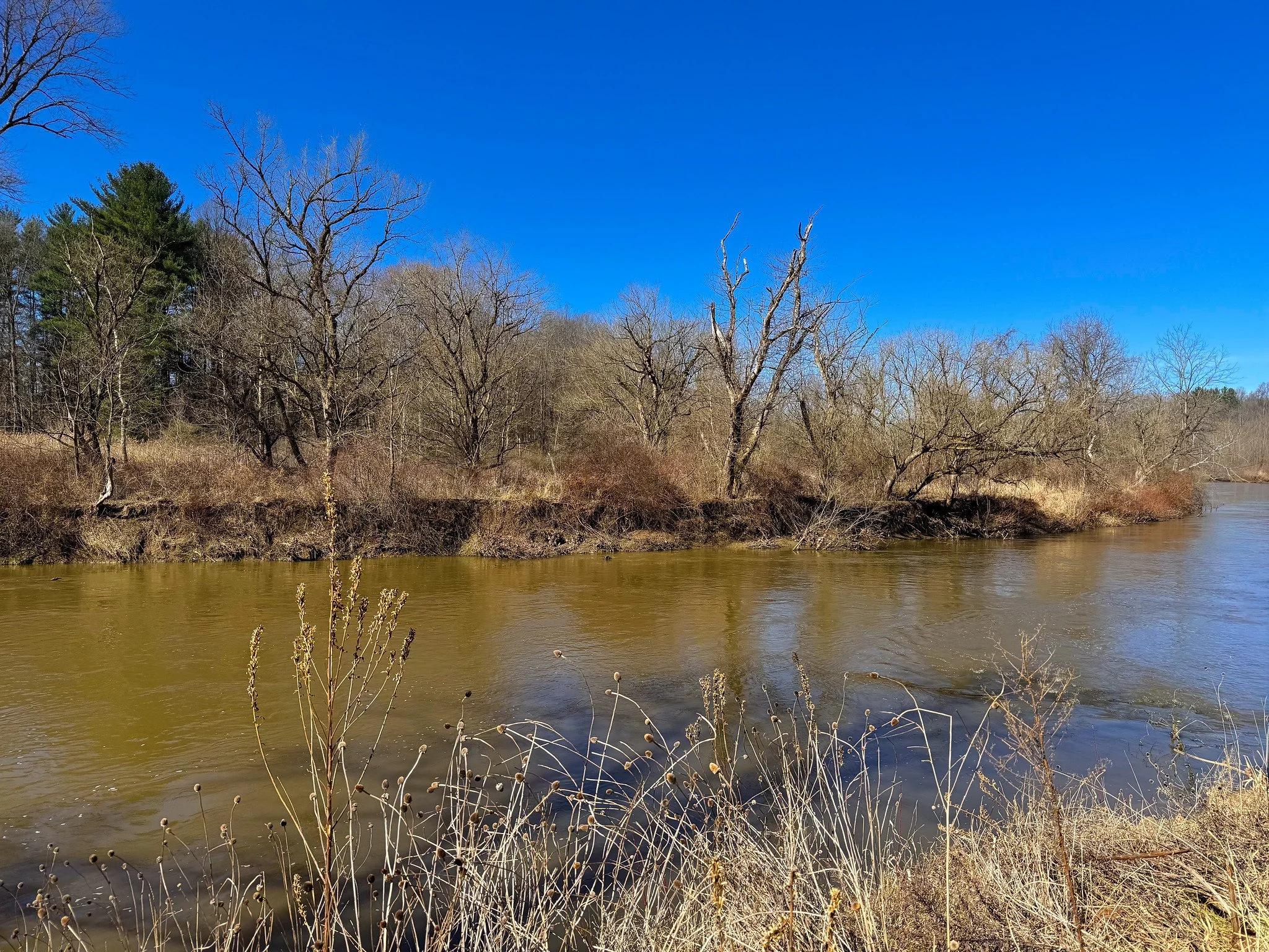Station Road Bridge Trailhead