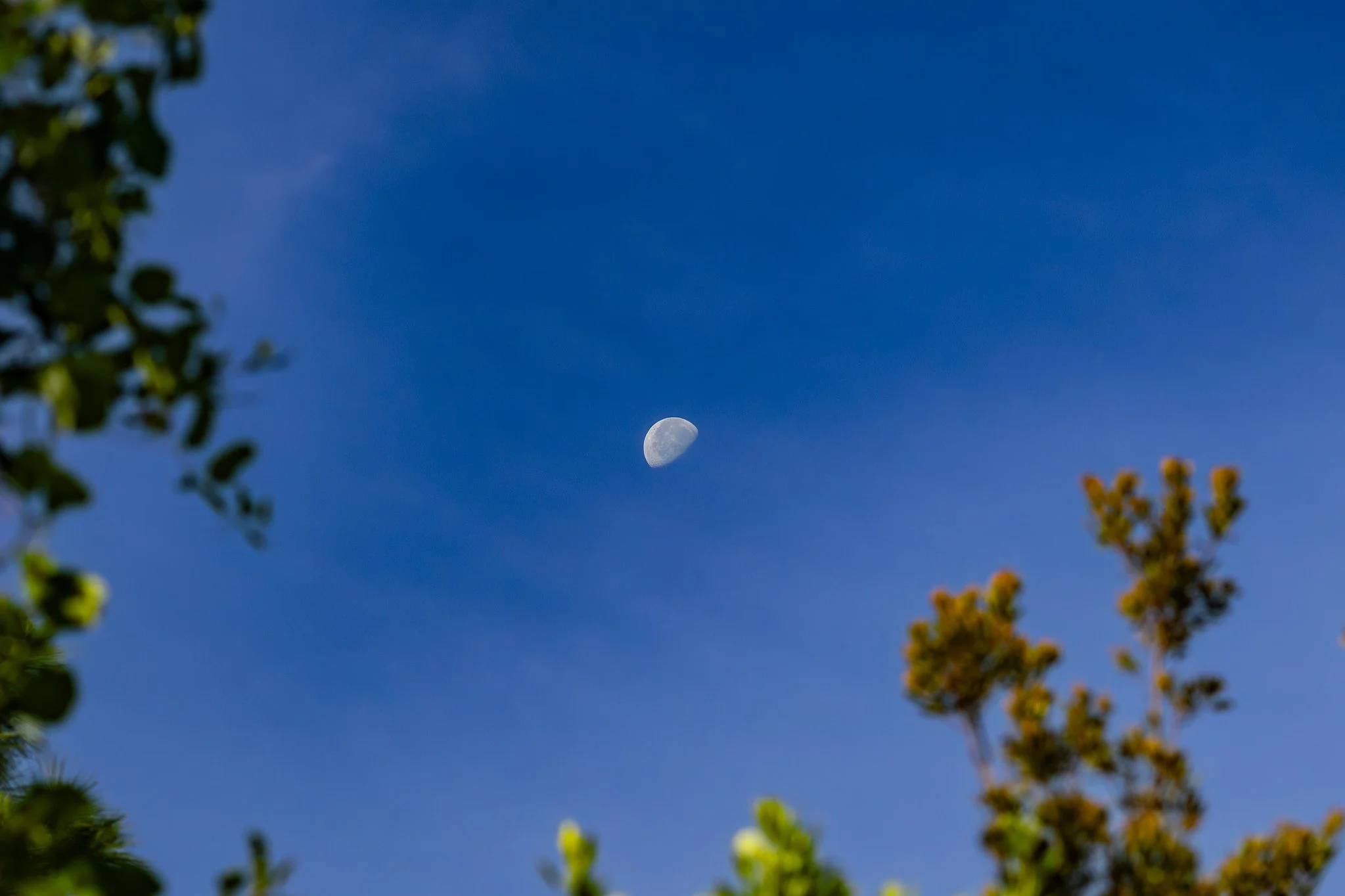 Waning Gibbous Phase