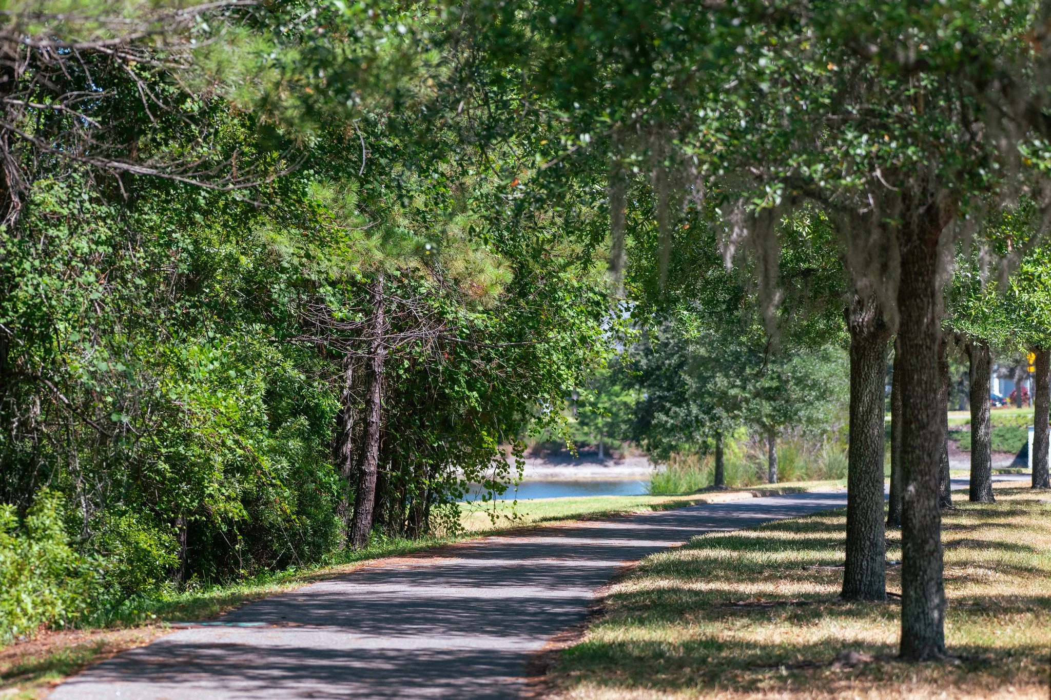 Longleaf Pine Pkwy