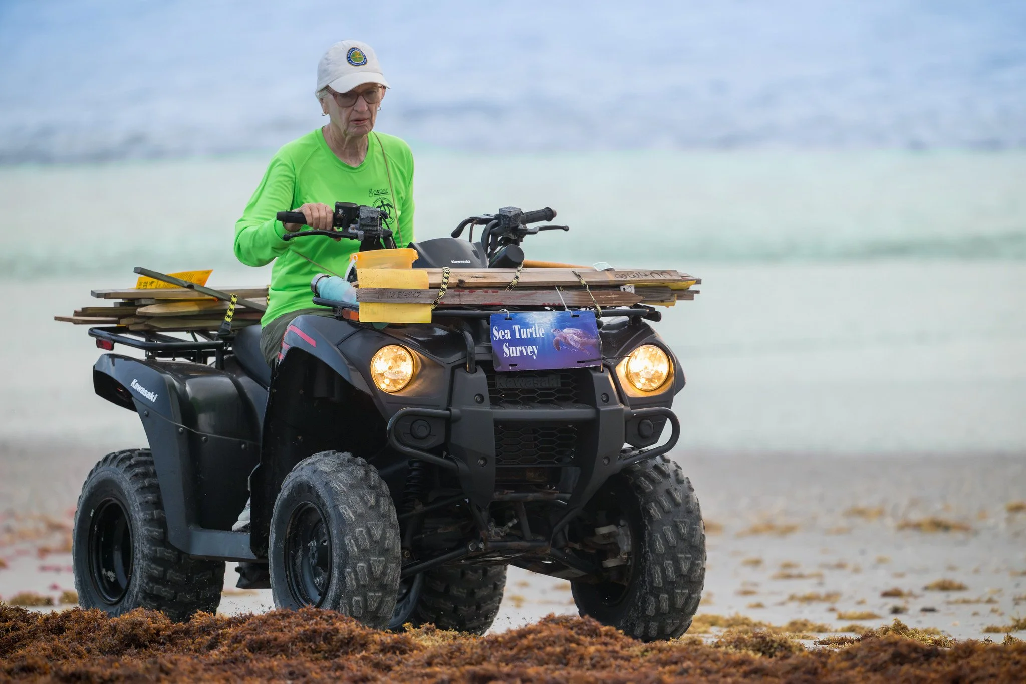 Sea Turtle Survey