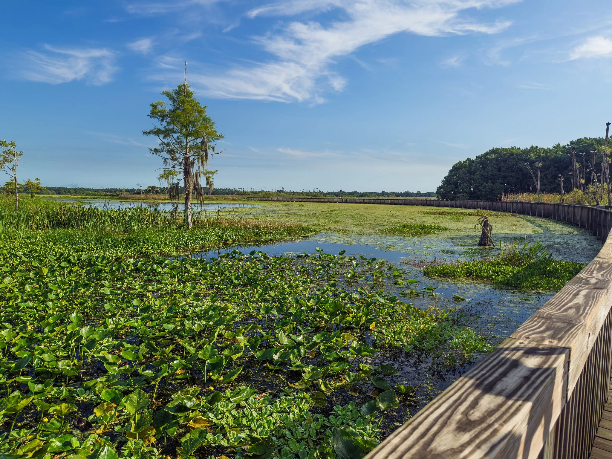 Orlando Wetlands