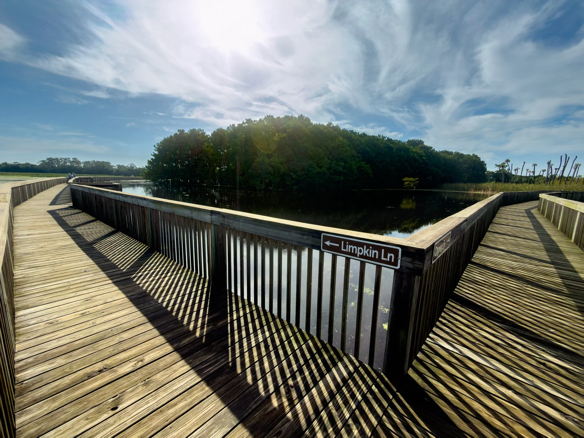 Cypress Boardwalk