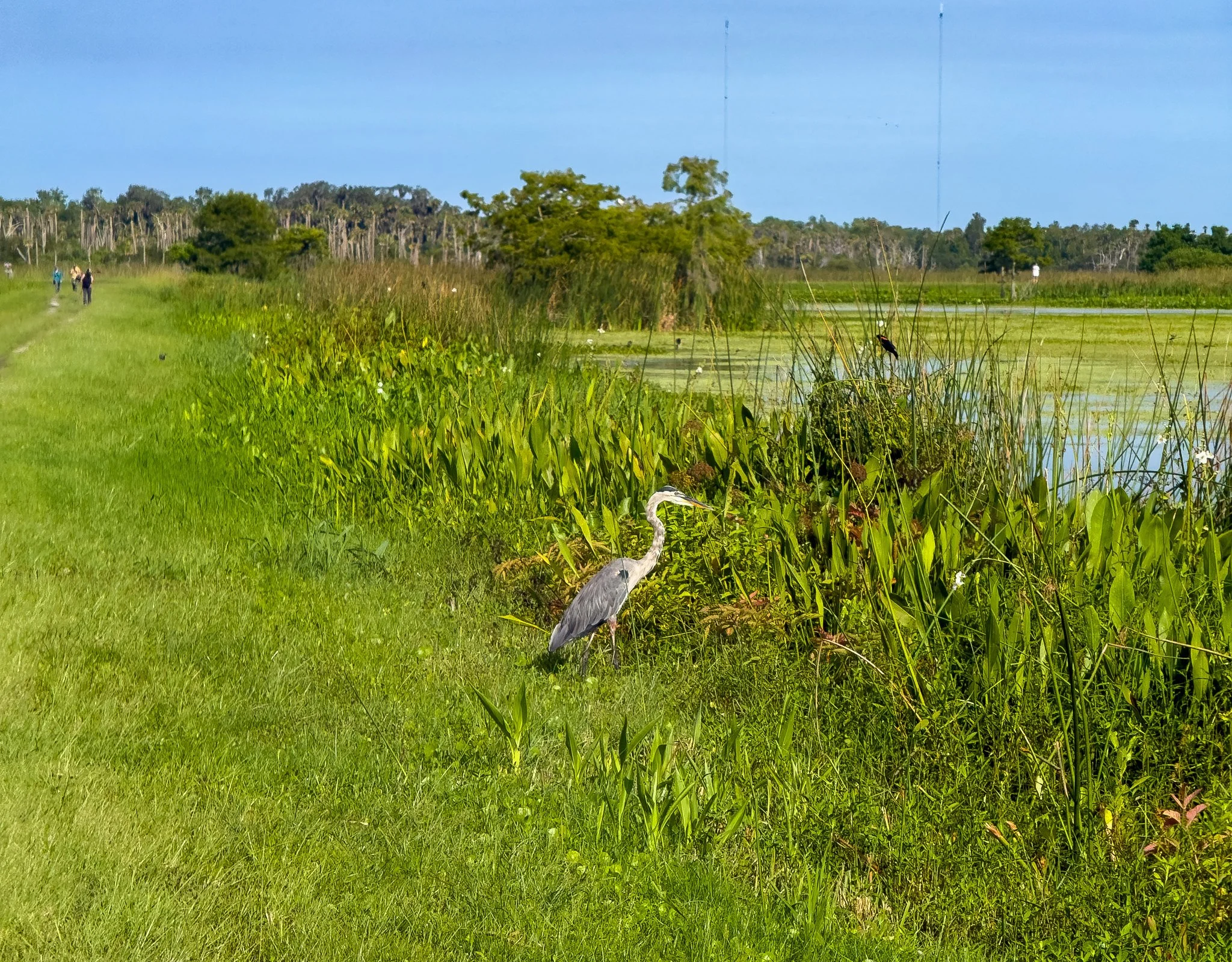 Orlando Wetlands Vistor Center