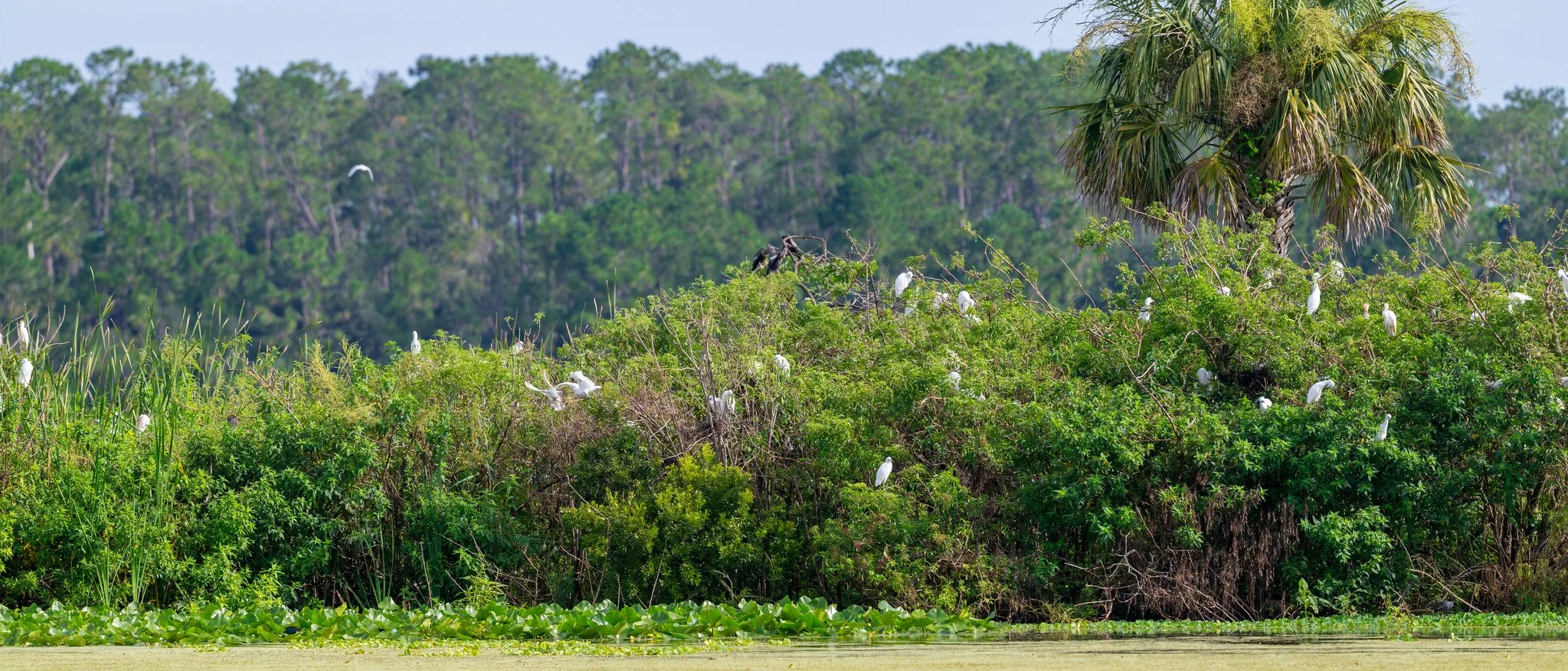 Life At The Marsh