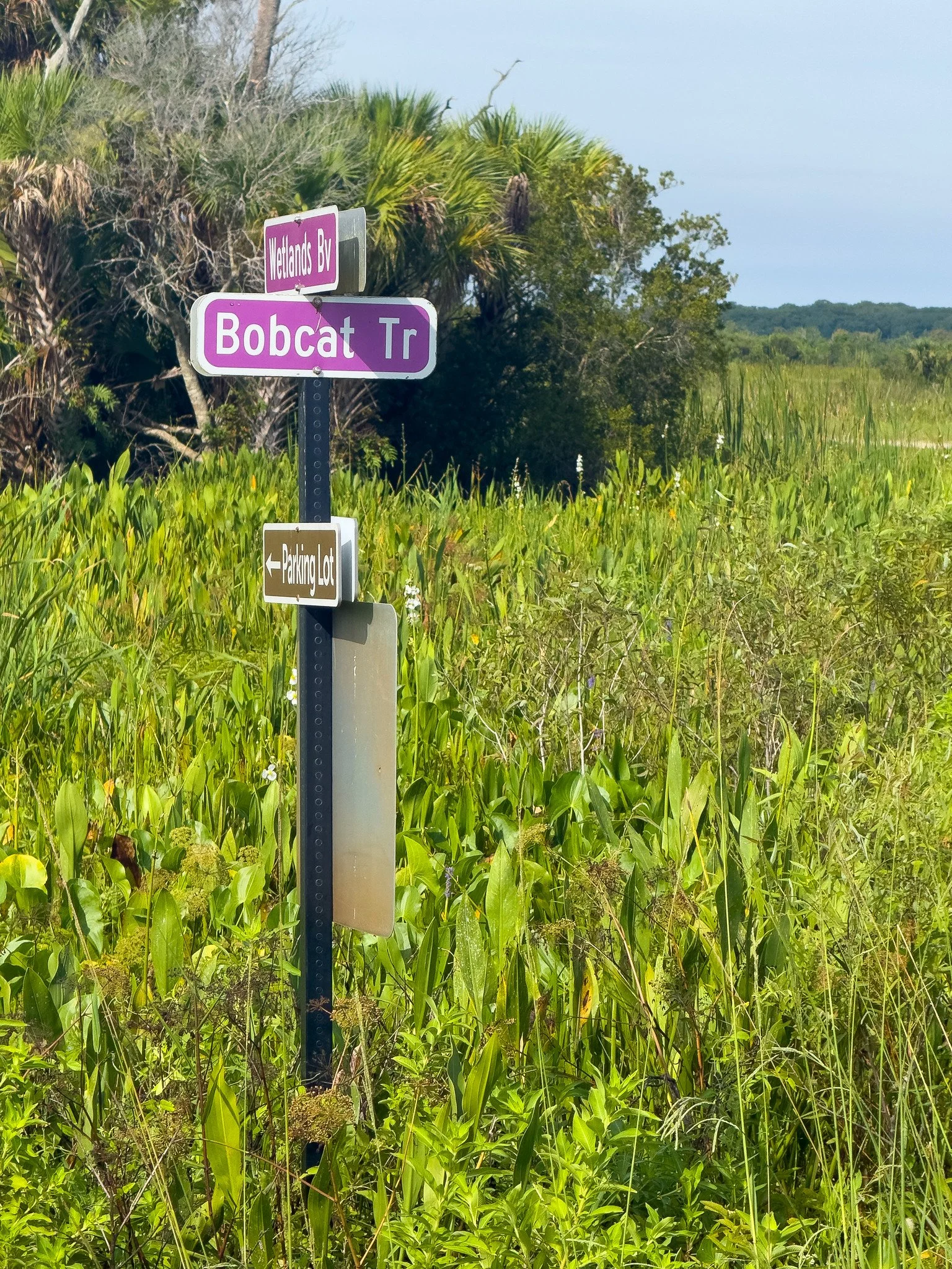Wetlands Blvd & Bobcat Trail