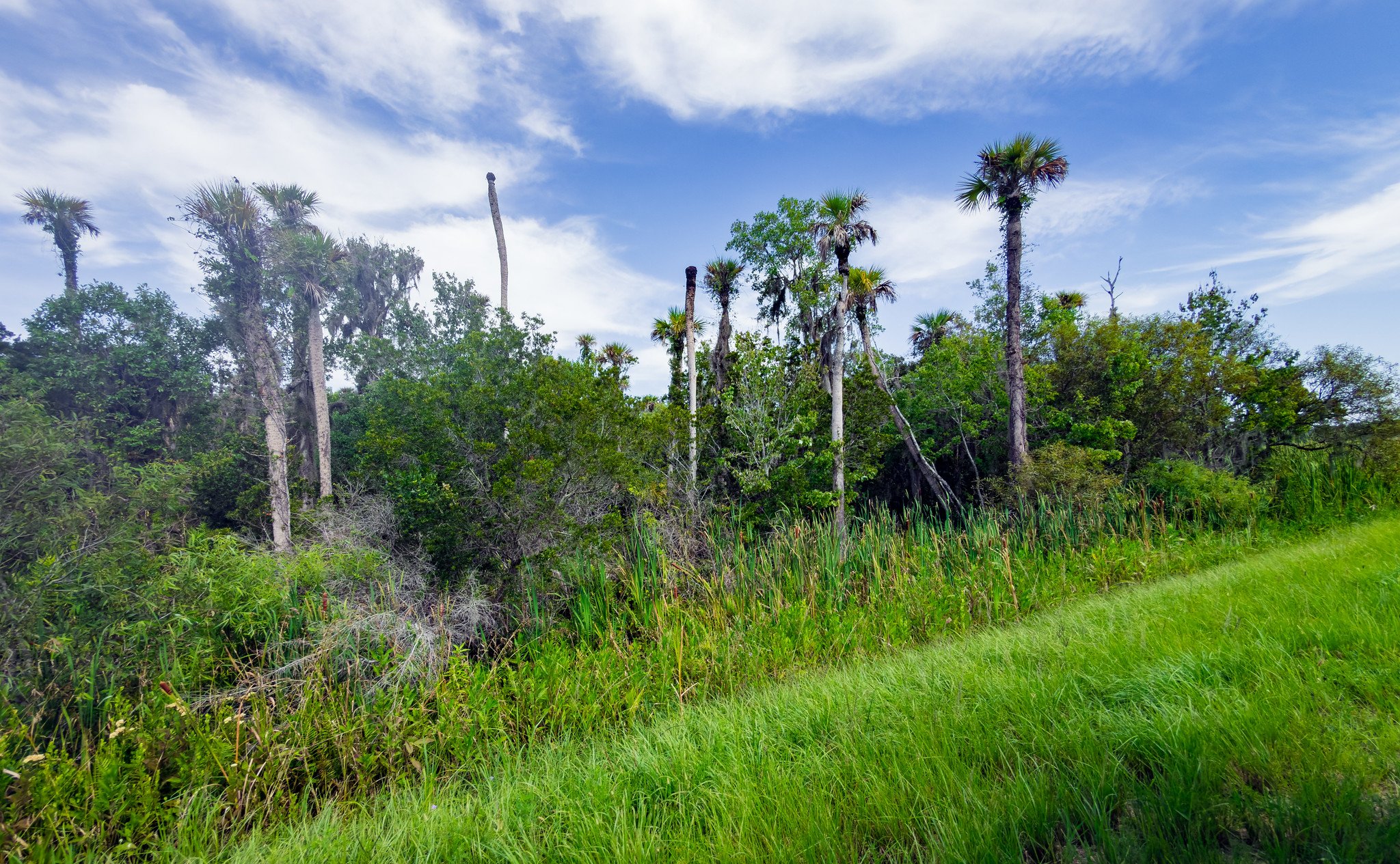IMG_3735-Pano